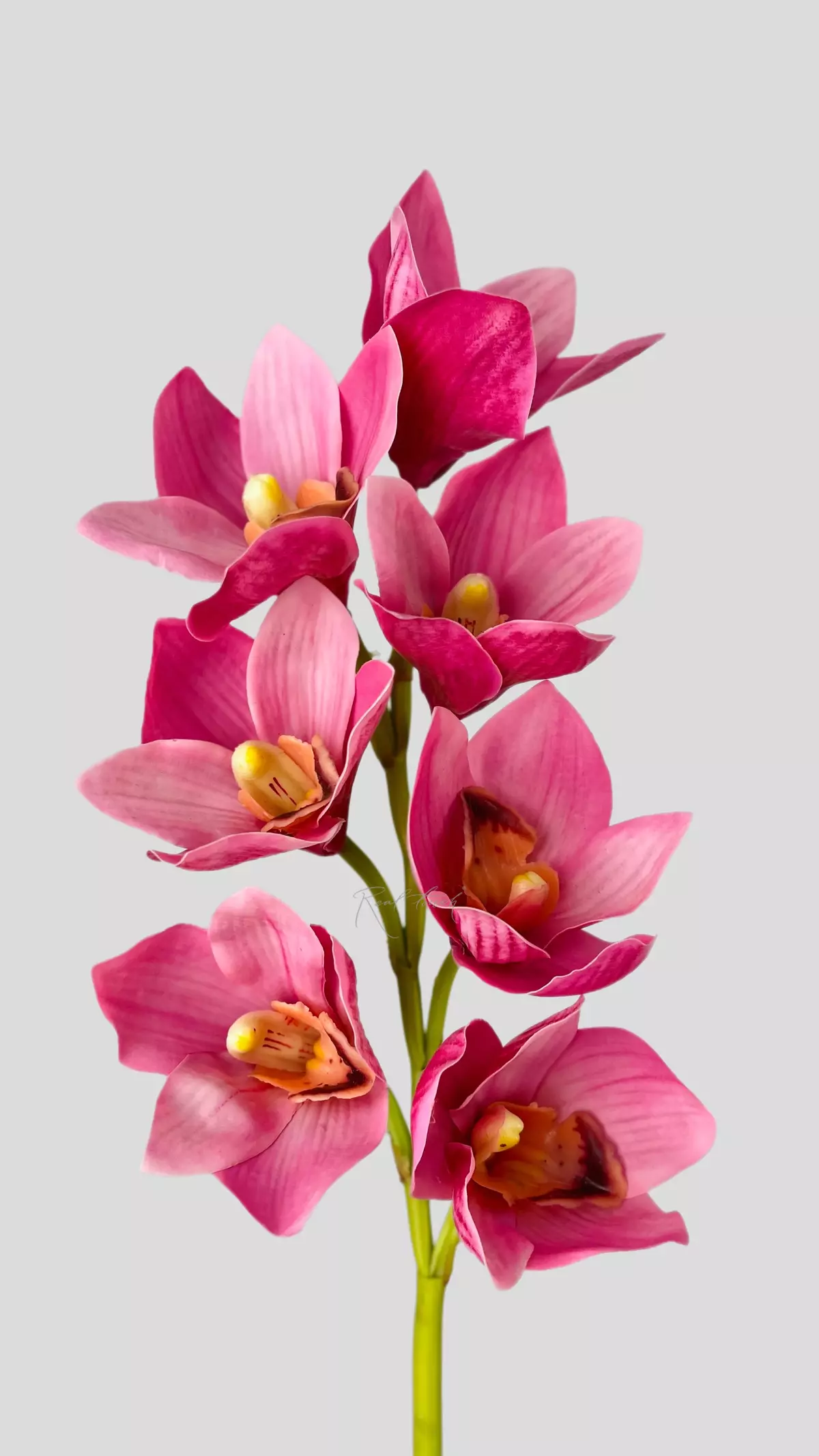 Real Touch Boat Orchid (Cymbidium) - light purple 