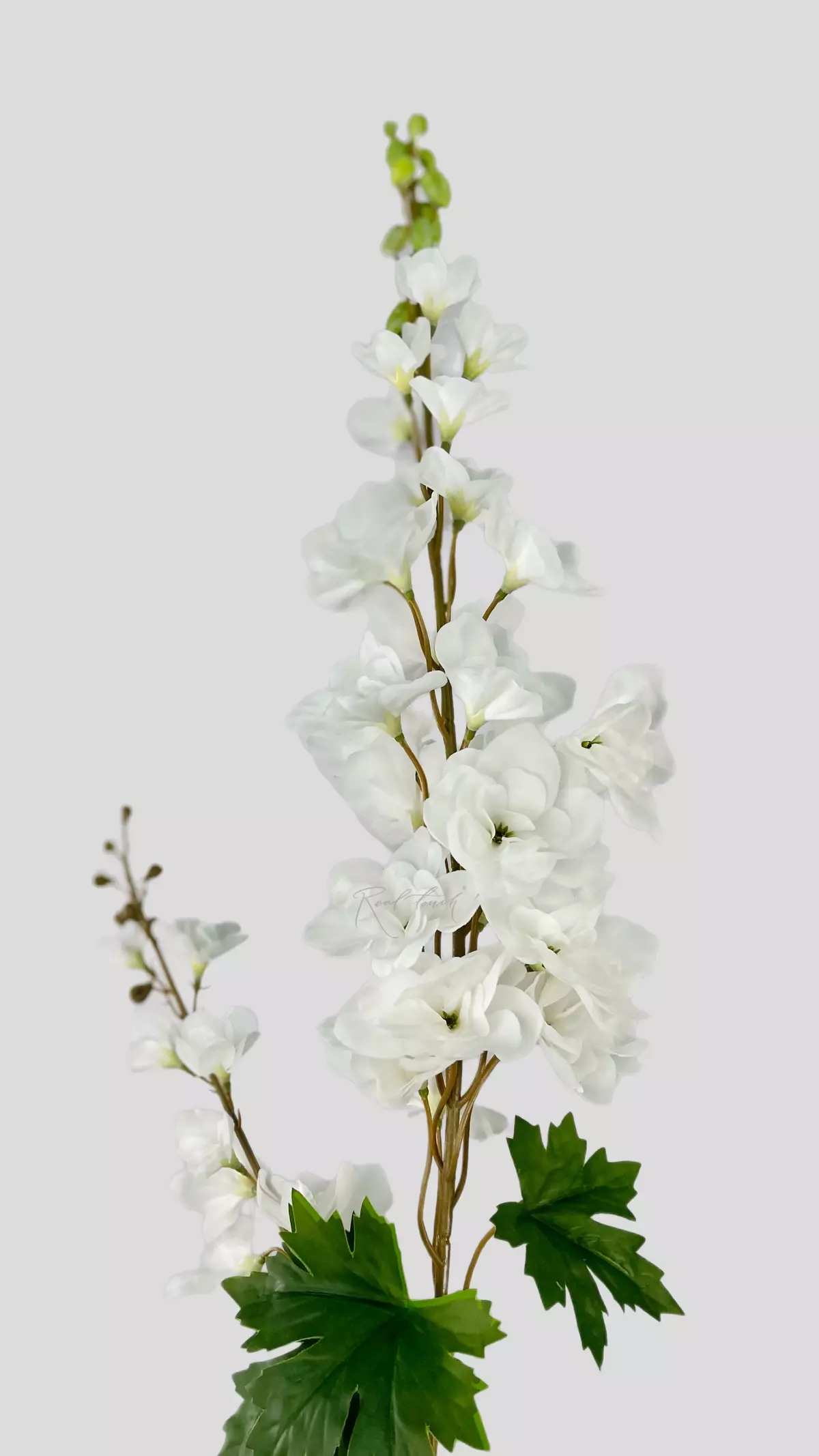 Delphinium with 2 Sprays - white