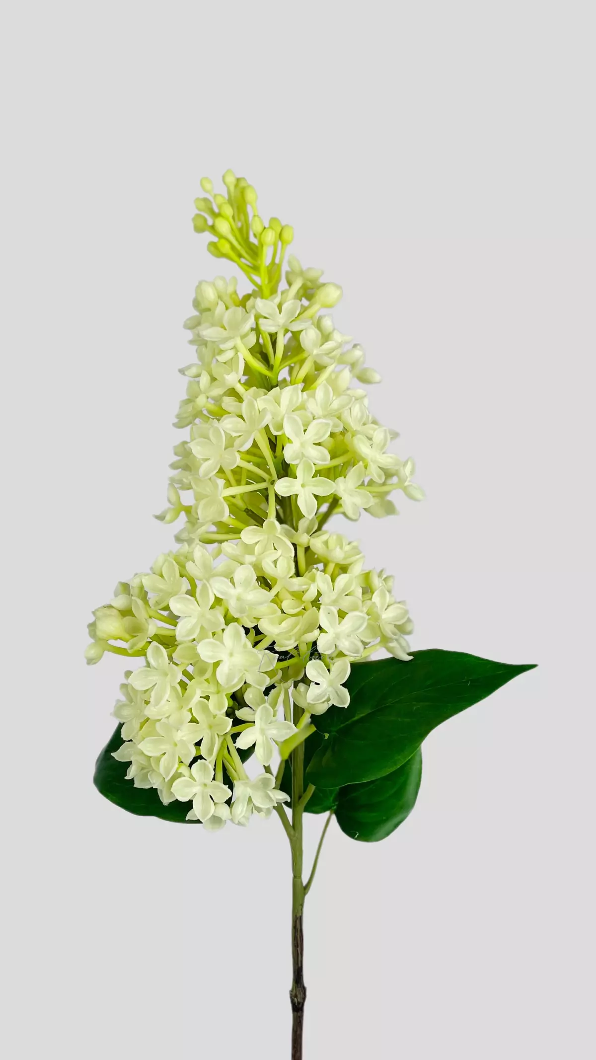 Real Touch Lilac Branch - white