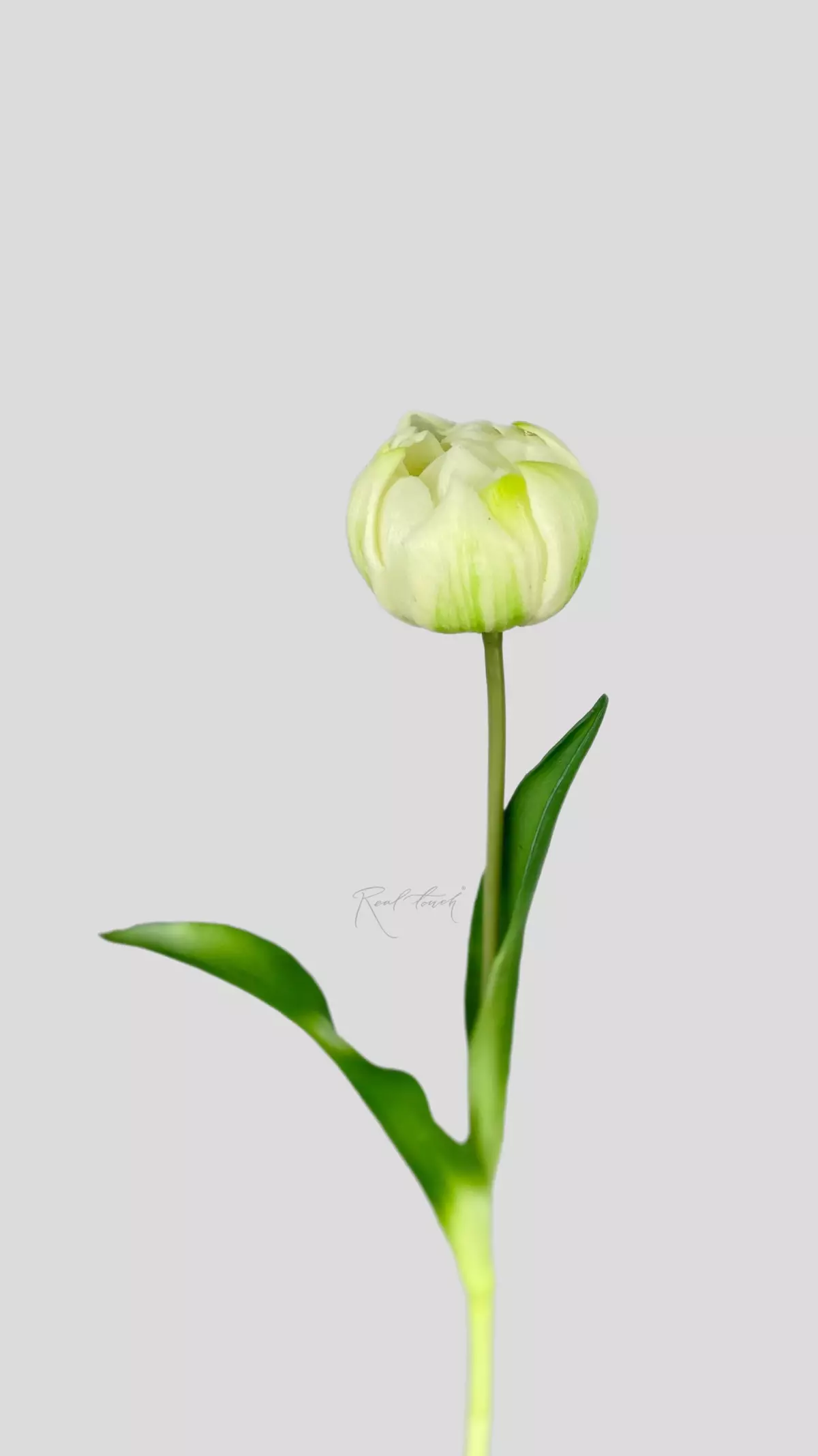 Real Touch Peony Tulip - white