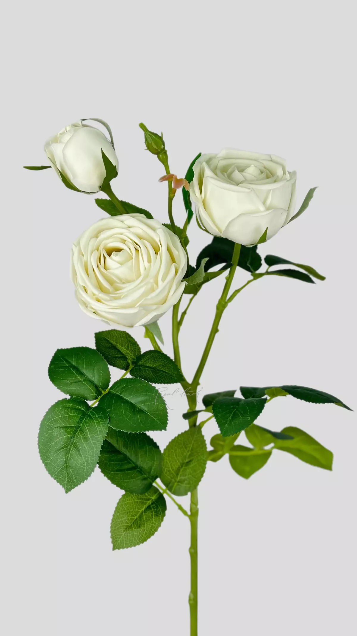 Real Touch Peony Rose 3+1 - white green