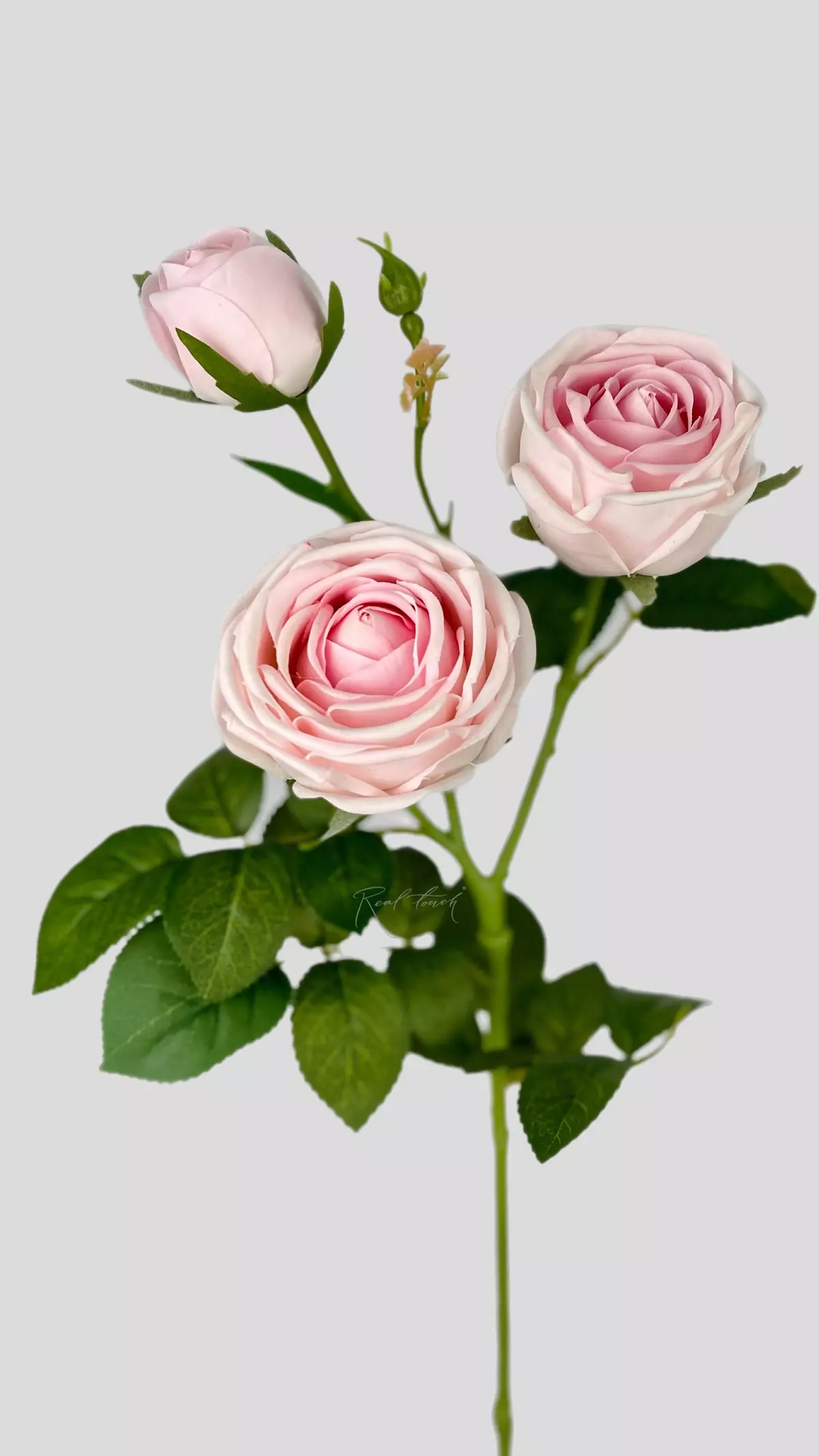 Real Touch Peony Rose 3+1 - cold pink
