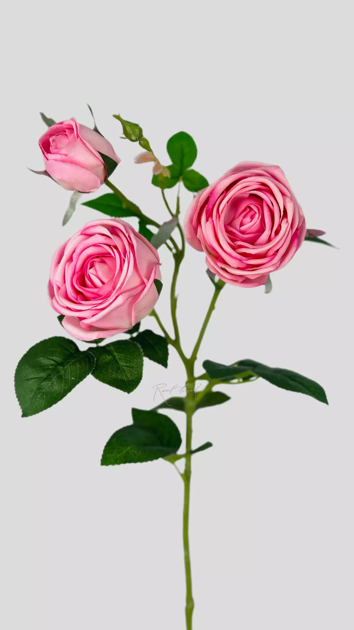 Real Touch Peony Rose 3+1 - pink