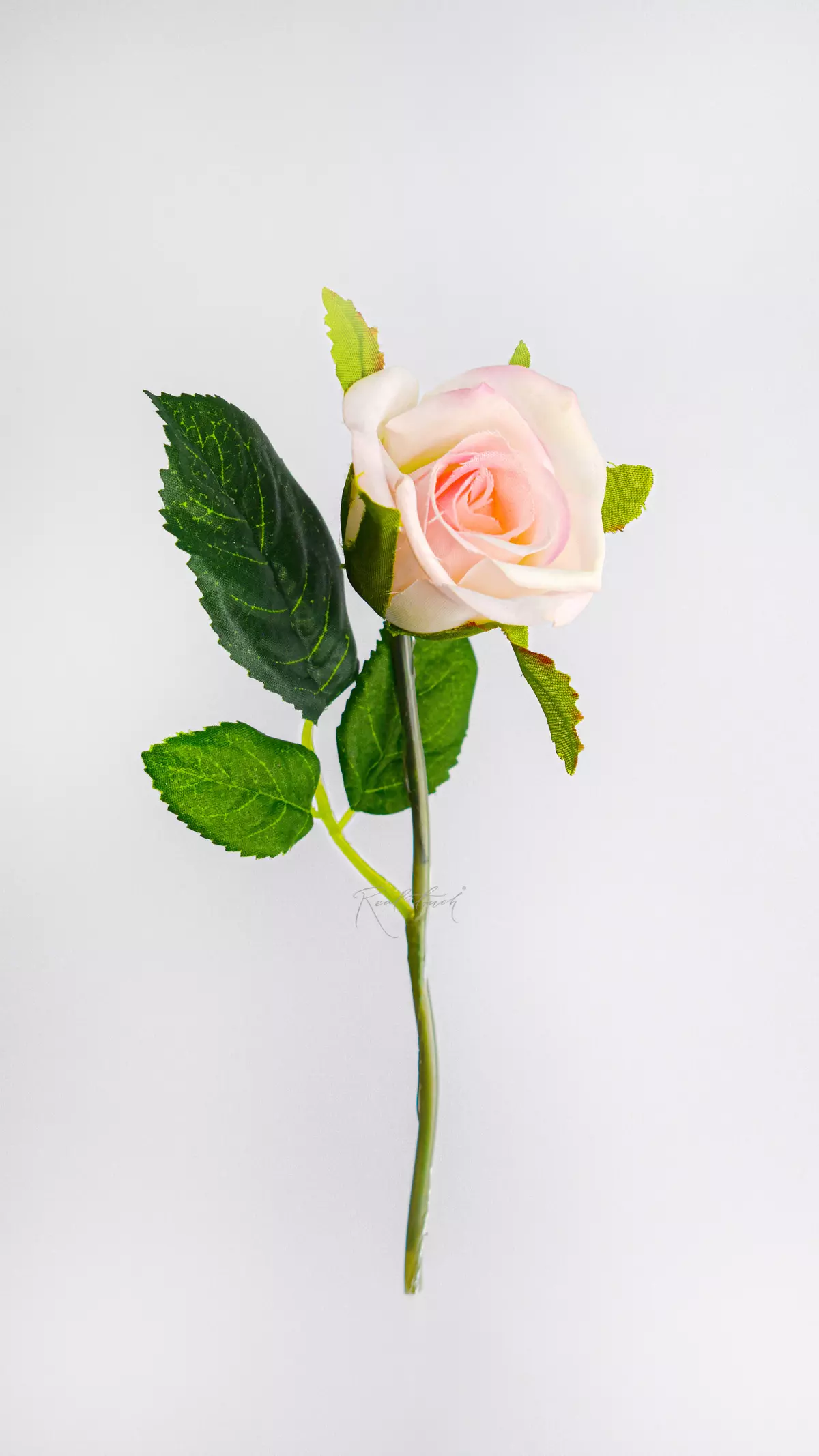 Real Touch Small Open Rose Head   - white pink 