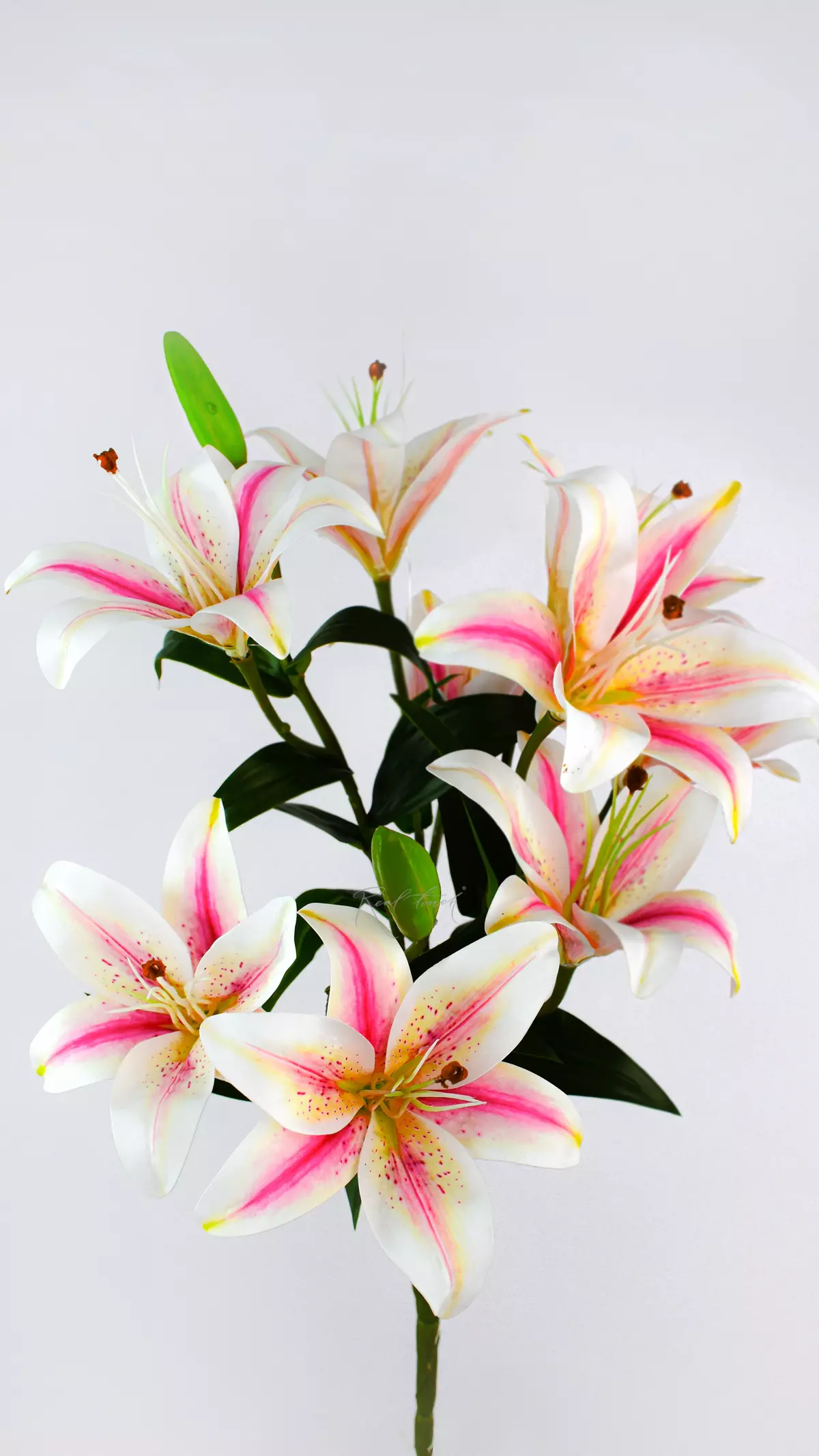 Real Touch Bush of Lilies (9 flowers) - white pink 