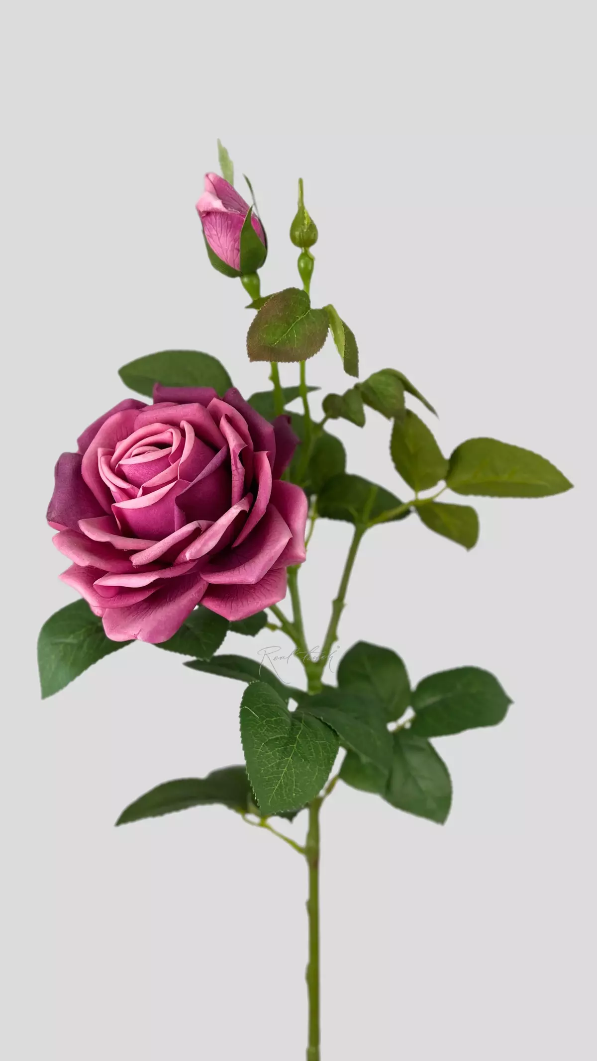 Real Touch Mamy Blue Rose - burgundy 