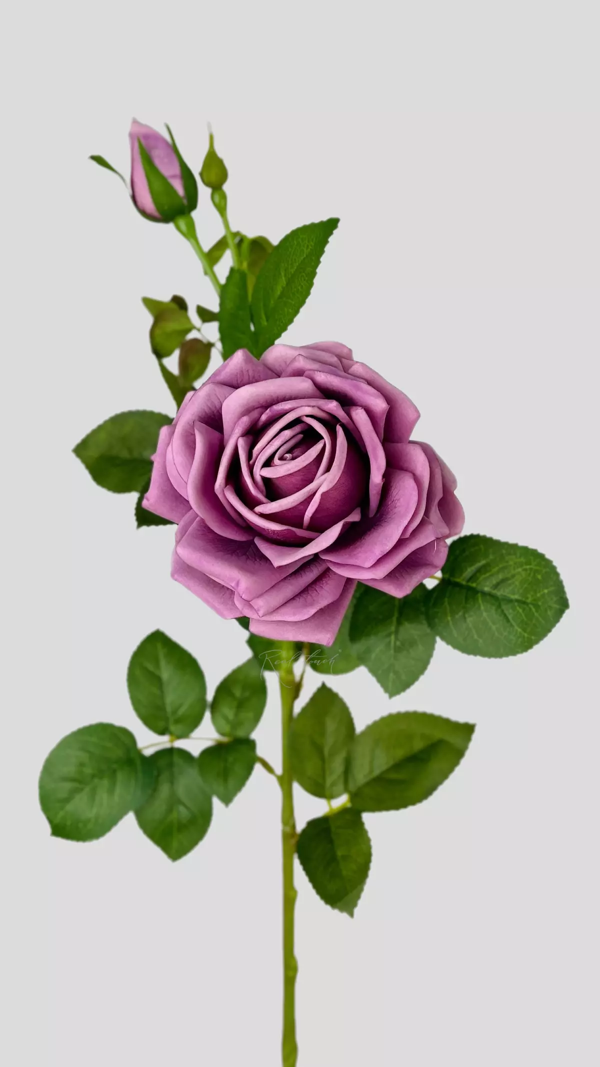 Real Touch Mamy Blue Rose - Lilac