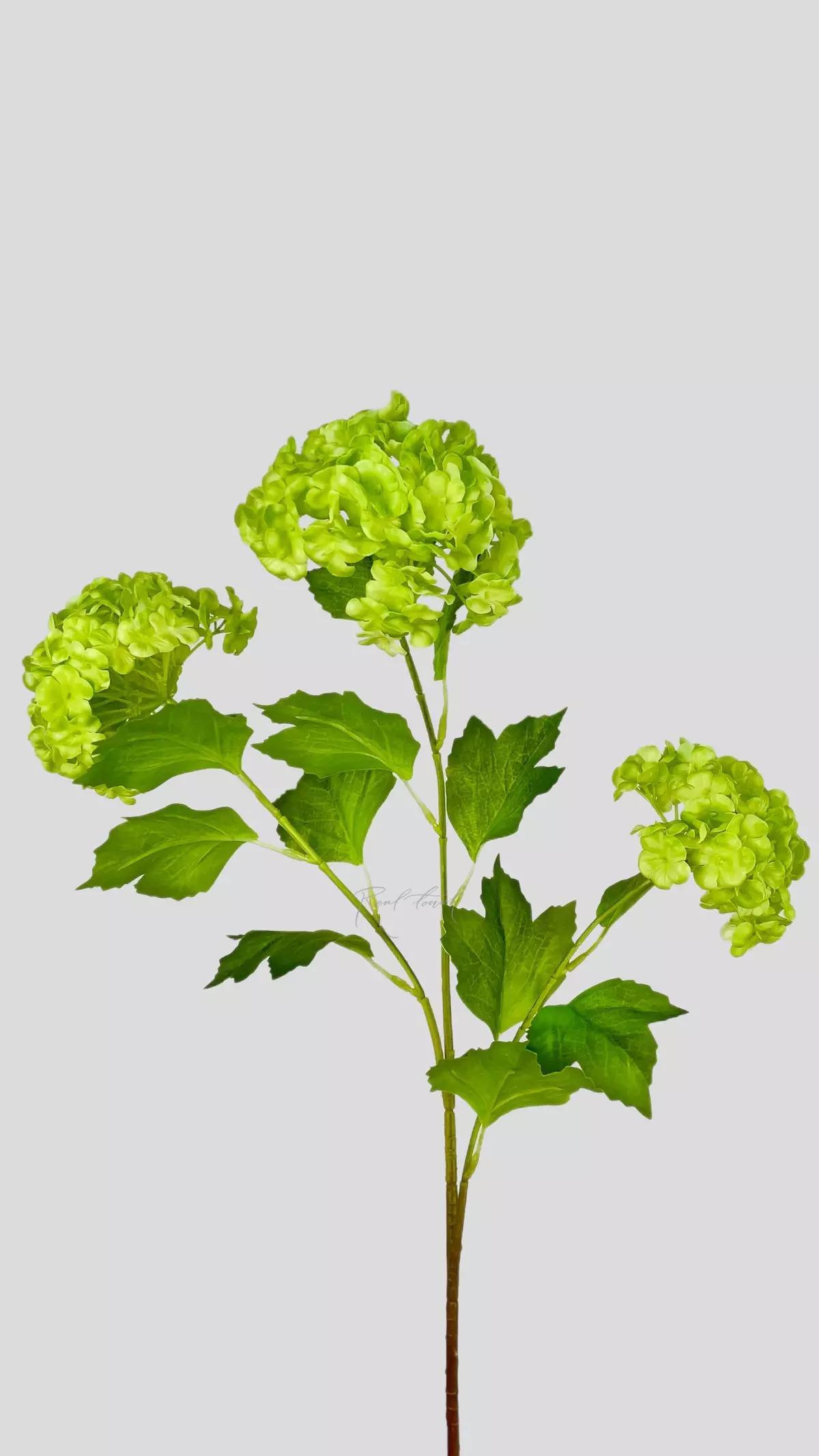 Real Touch Snowball Bush Viburnum - light green