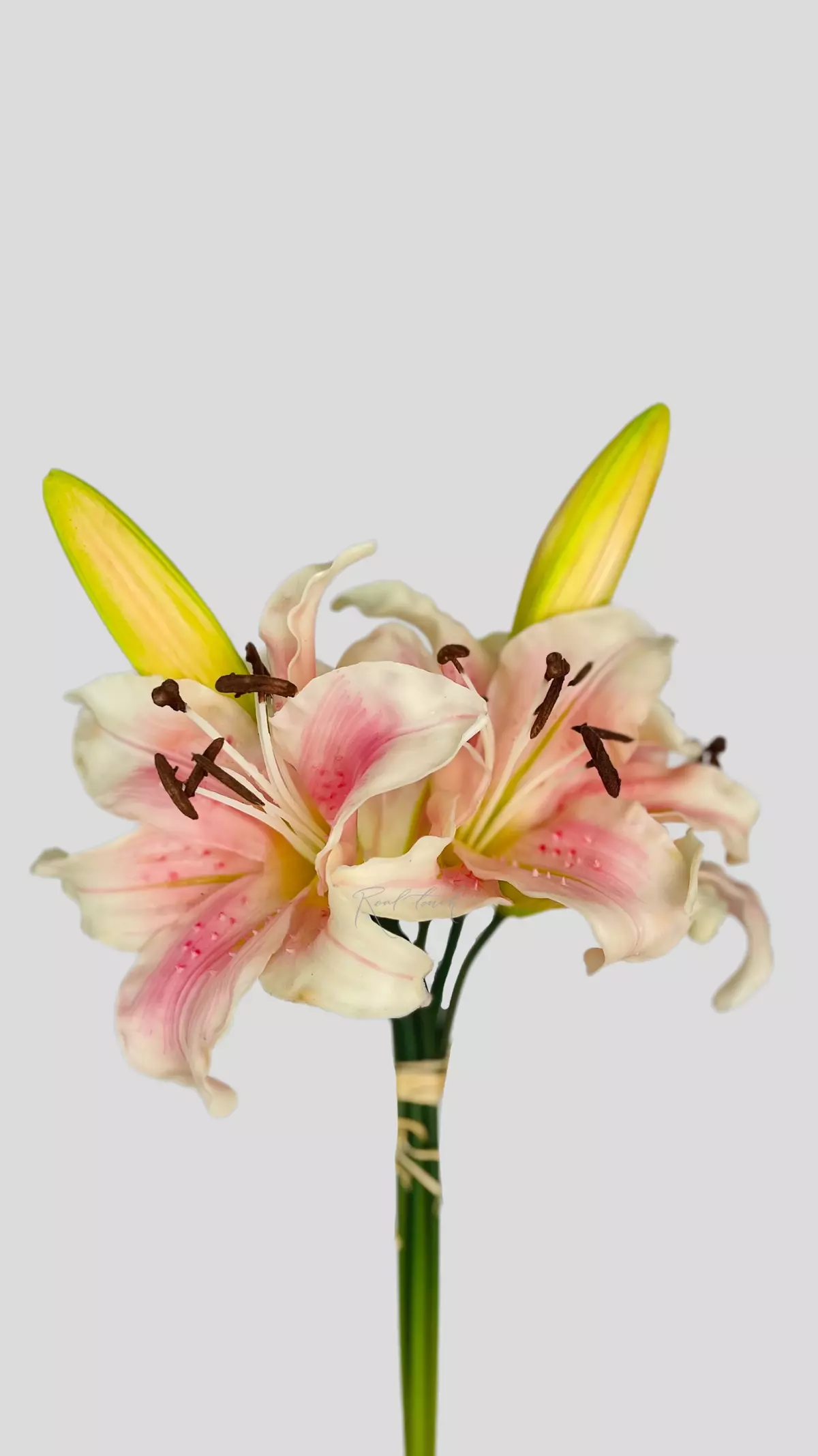Lily Bouquet 4+2 - light pink