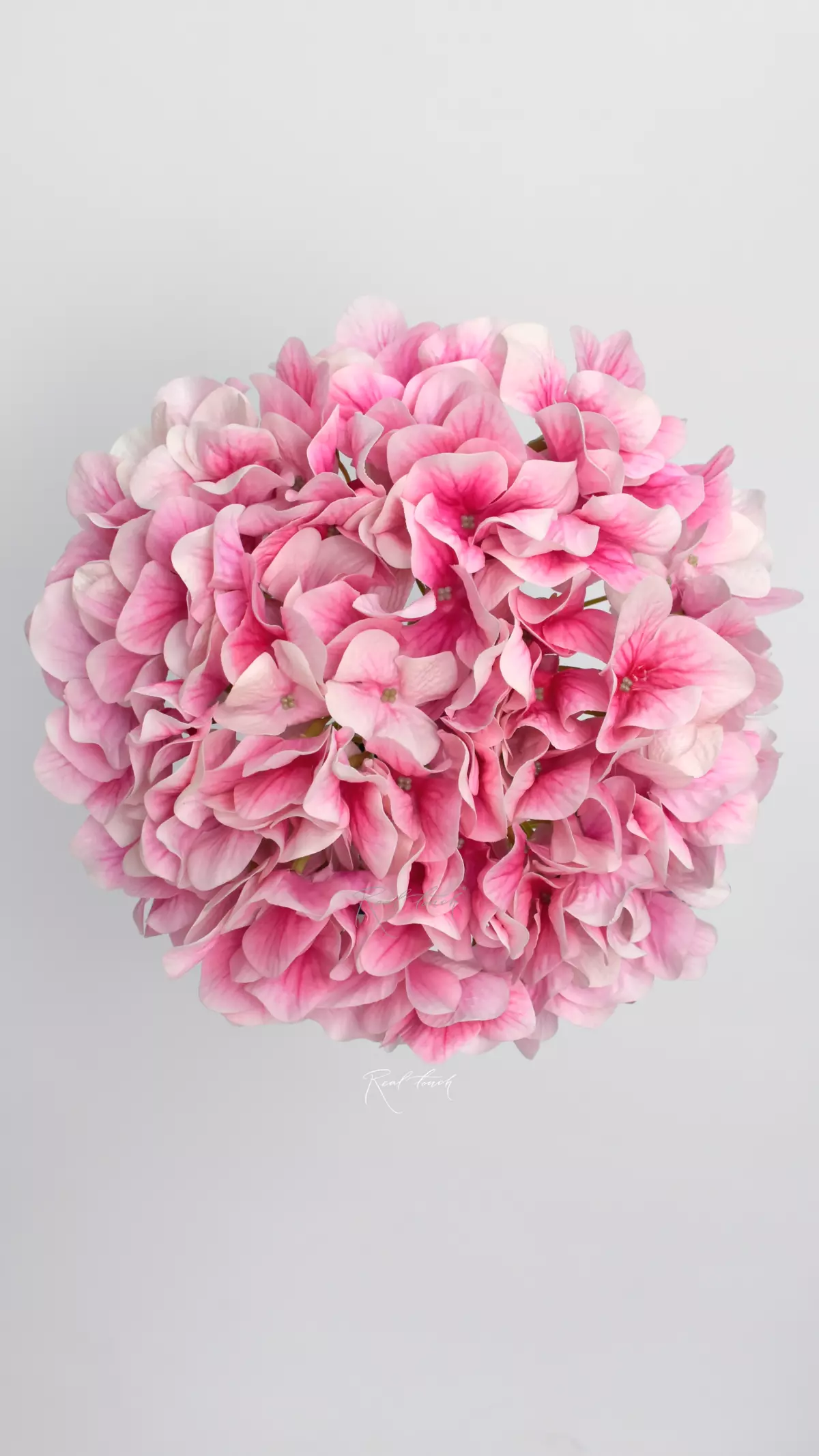 Real Touch Hydrangea arborescens (without stem) - white pink 