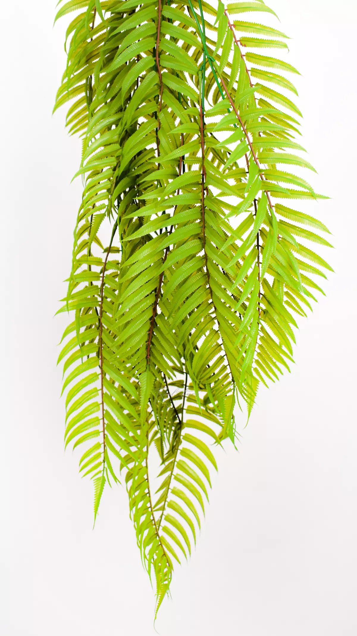 Real Touch Sorbaria sorbifolia fern-like shrub  - green