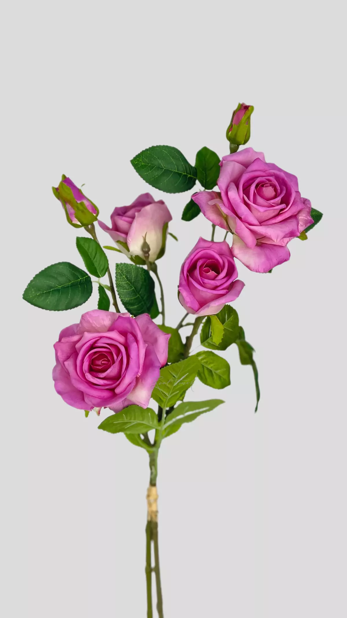 Real Touch Open Rose (2 stems) - Lilac