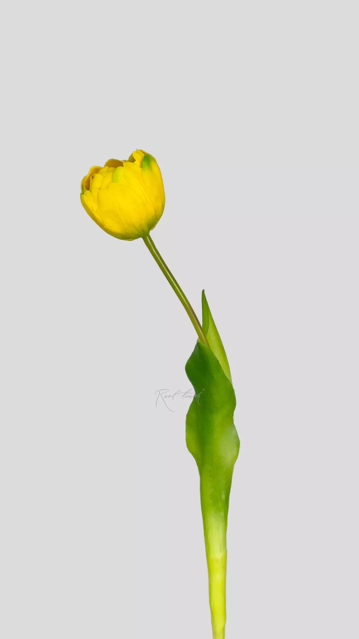 Real Touch Open Tulip - yellow