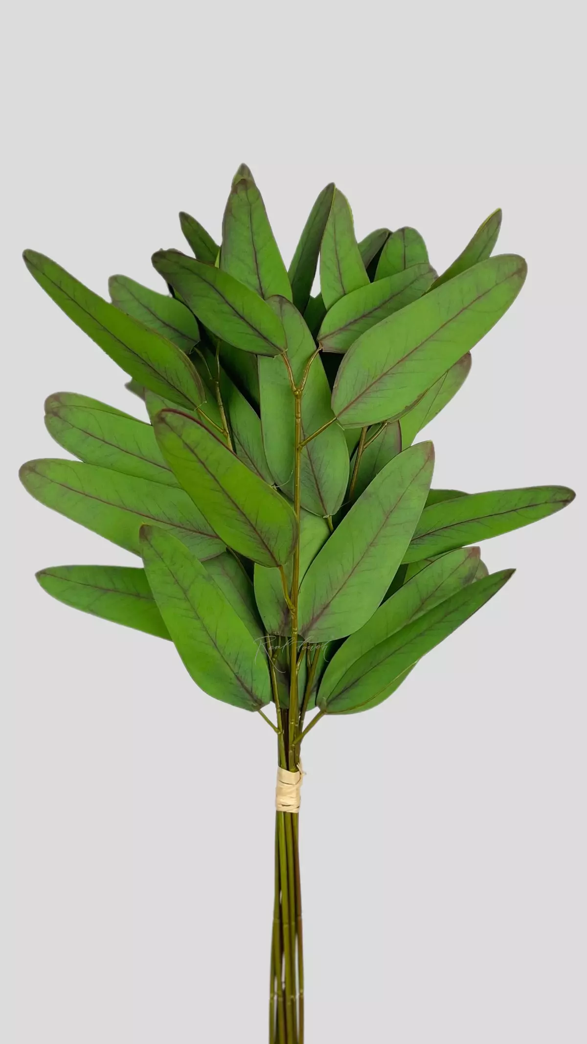 Real Touch Eucalyptus Populus (8 branches) - green burgundy