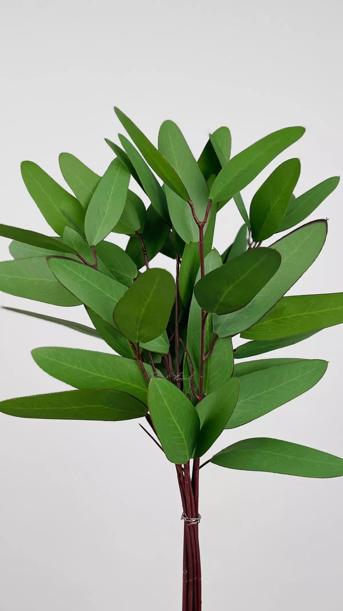 Real Touch Eucalyptus Populus (8 branches) - green
