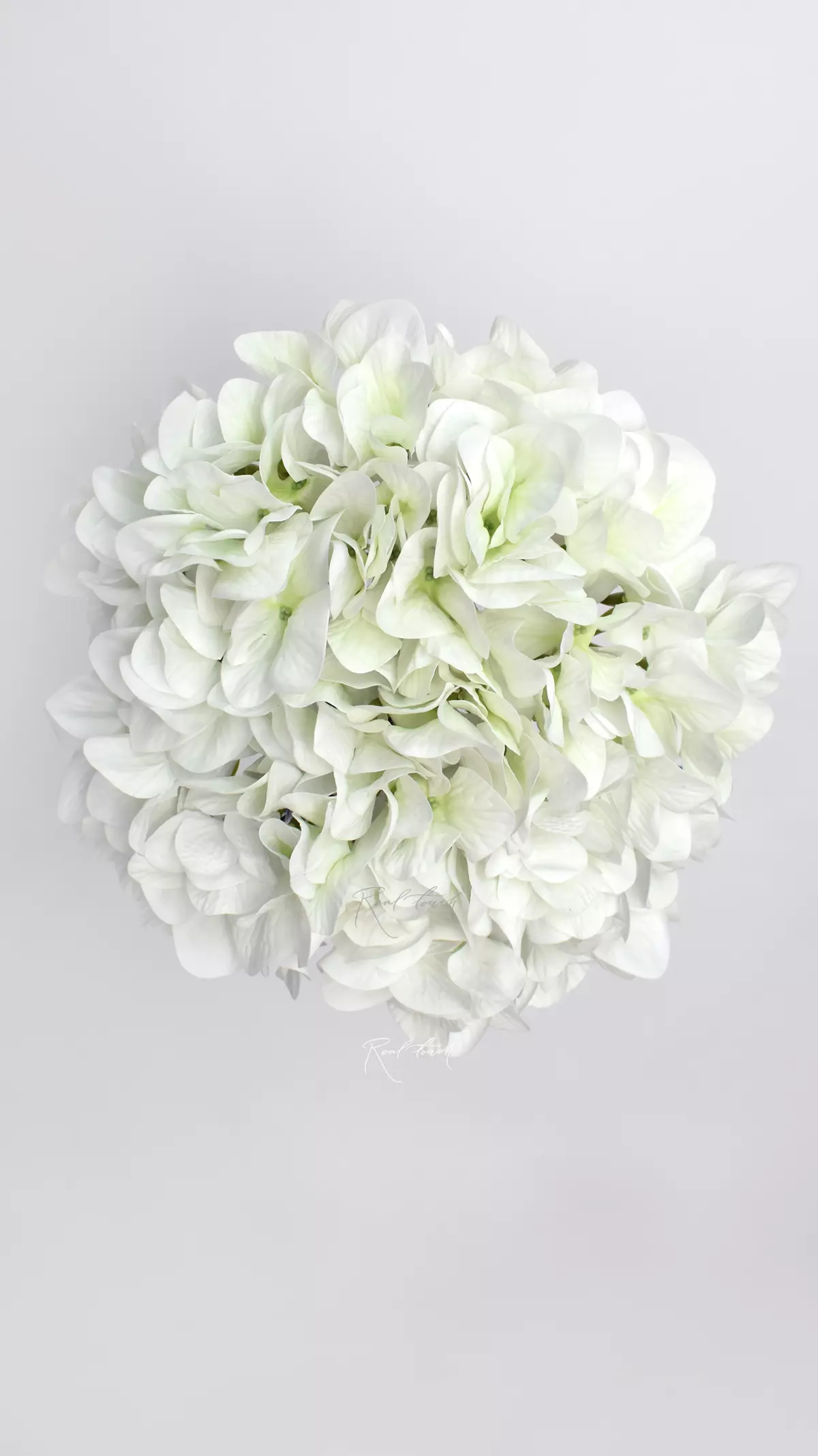 Real Touch Hydrangea arborescens (without stem) - white green