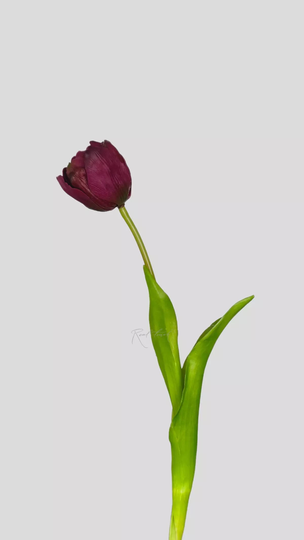 Real Touch Open Tulip - purple