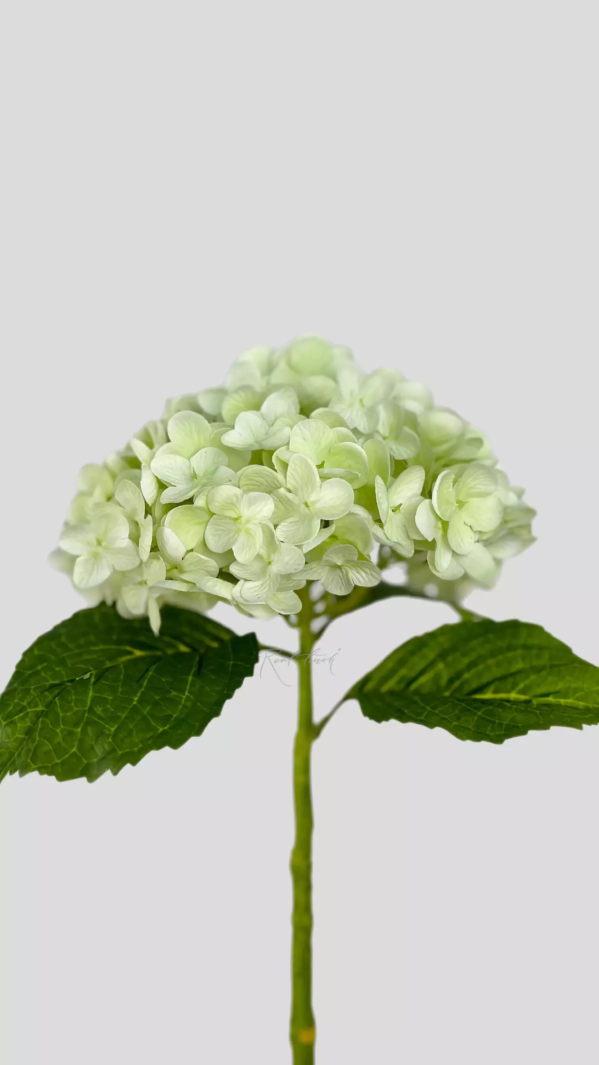 Real Touch Garden Hydrangea (with stem) - light green