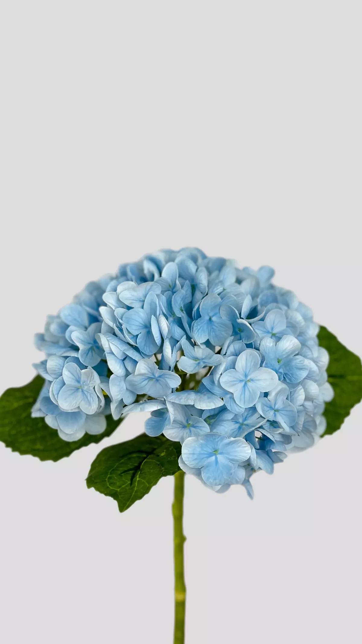 Real Touch Garden Hydrangea (with stem) - light blue