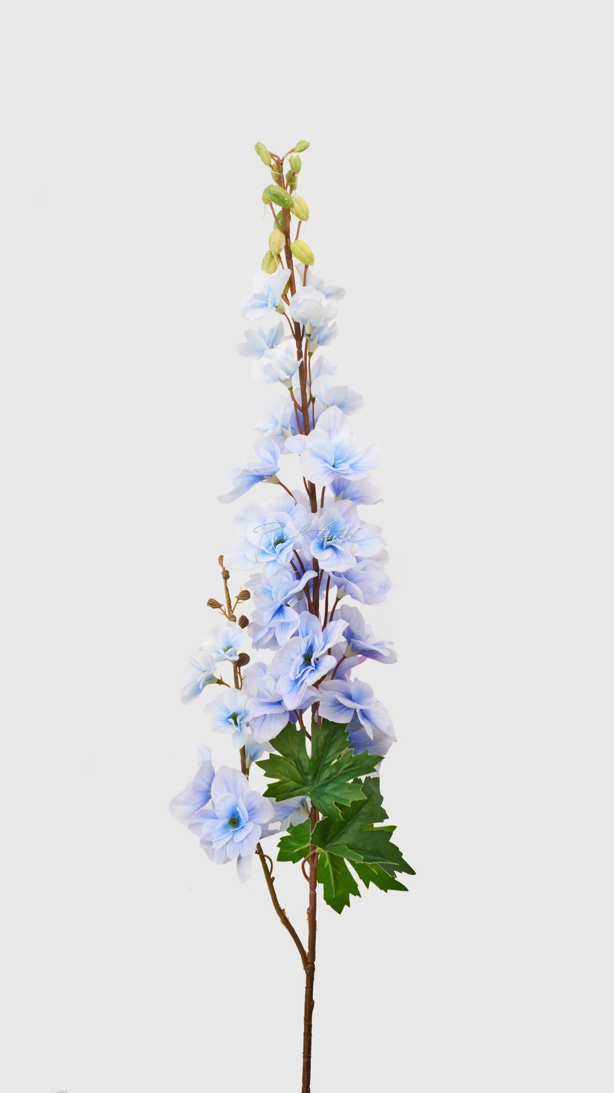 Delphinium with 2 Sprays - light blue