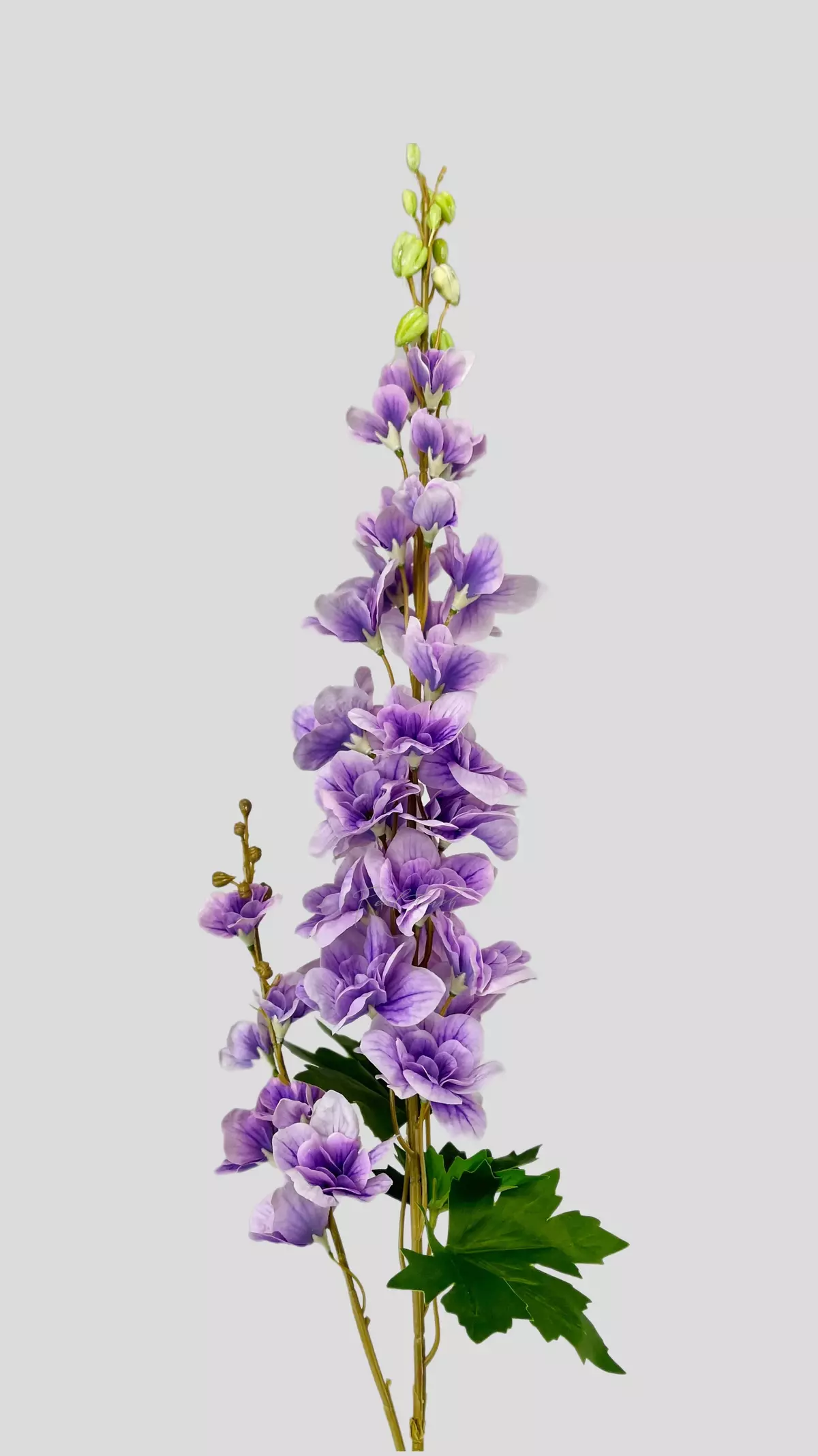 Delphinium with 2 Sprays - light purple