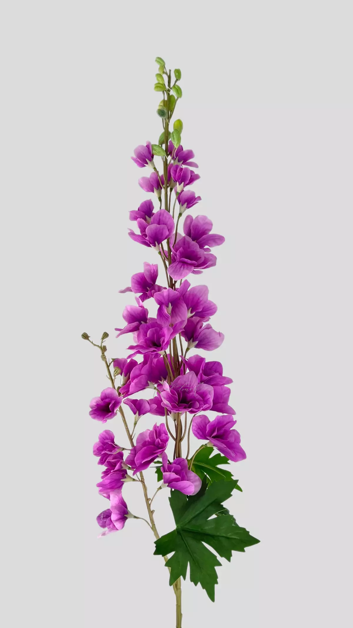 Delphinium with 2 Sprays - fuchsia