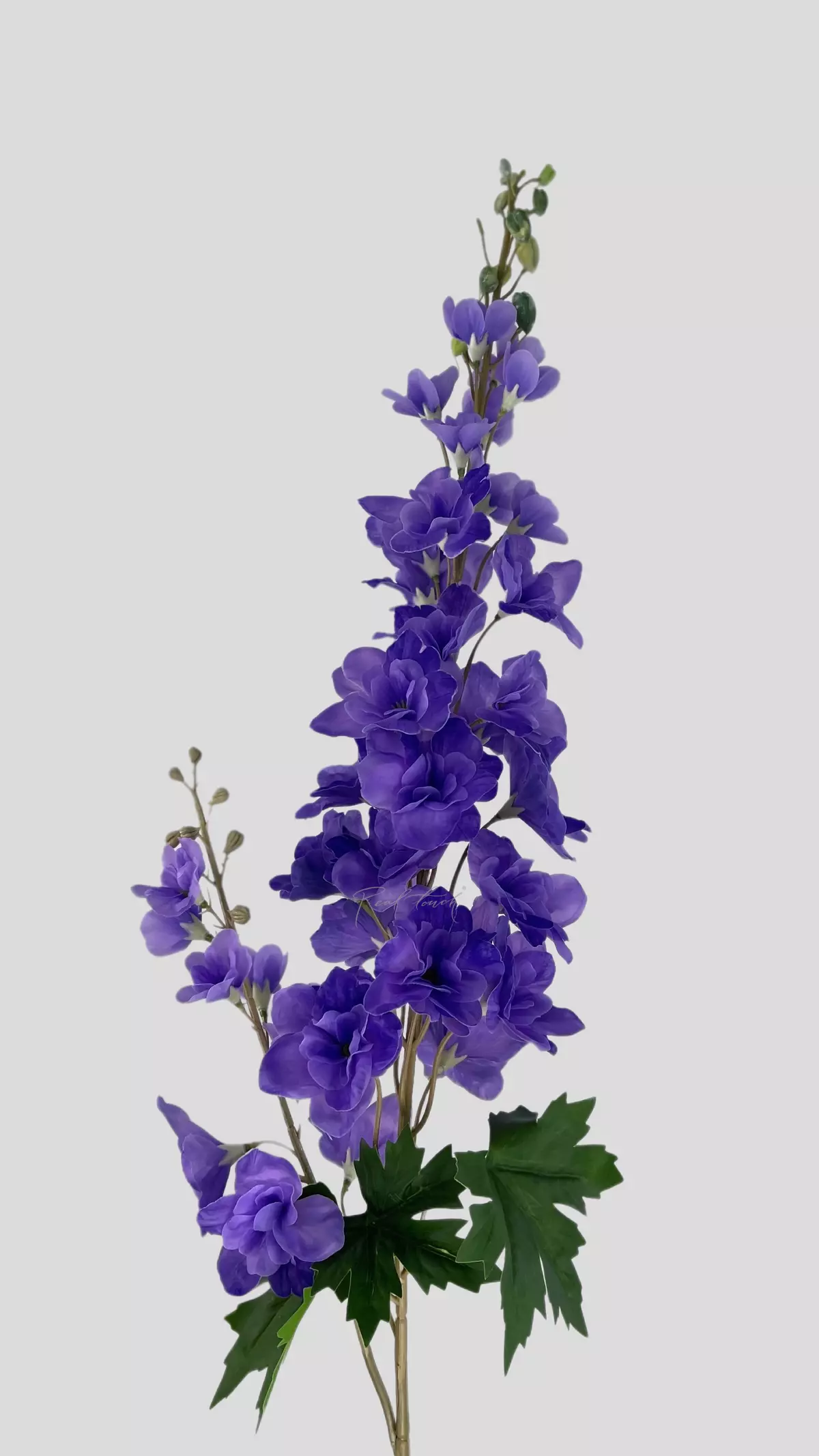 Delphinium with 2 Sprays - dark purple