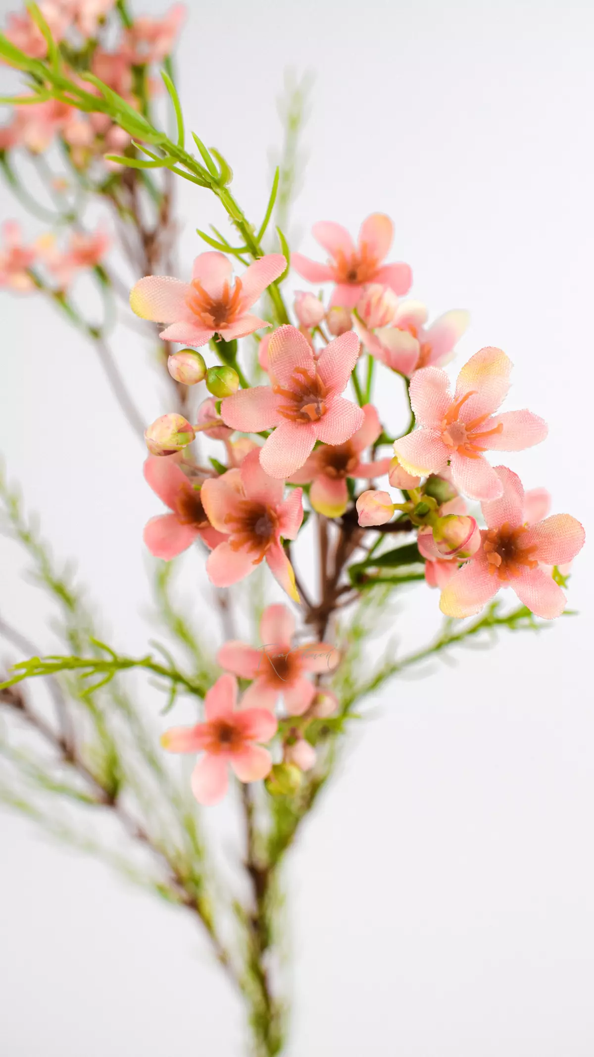Artificial Wax Flower Chamelacium - pink