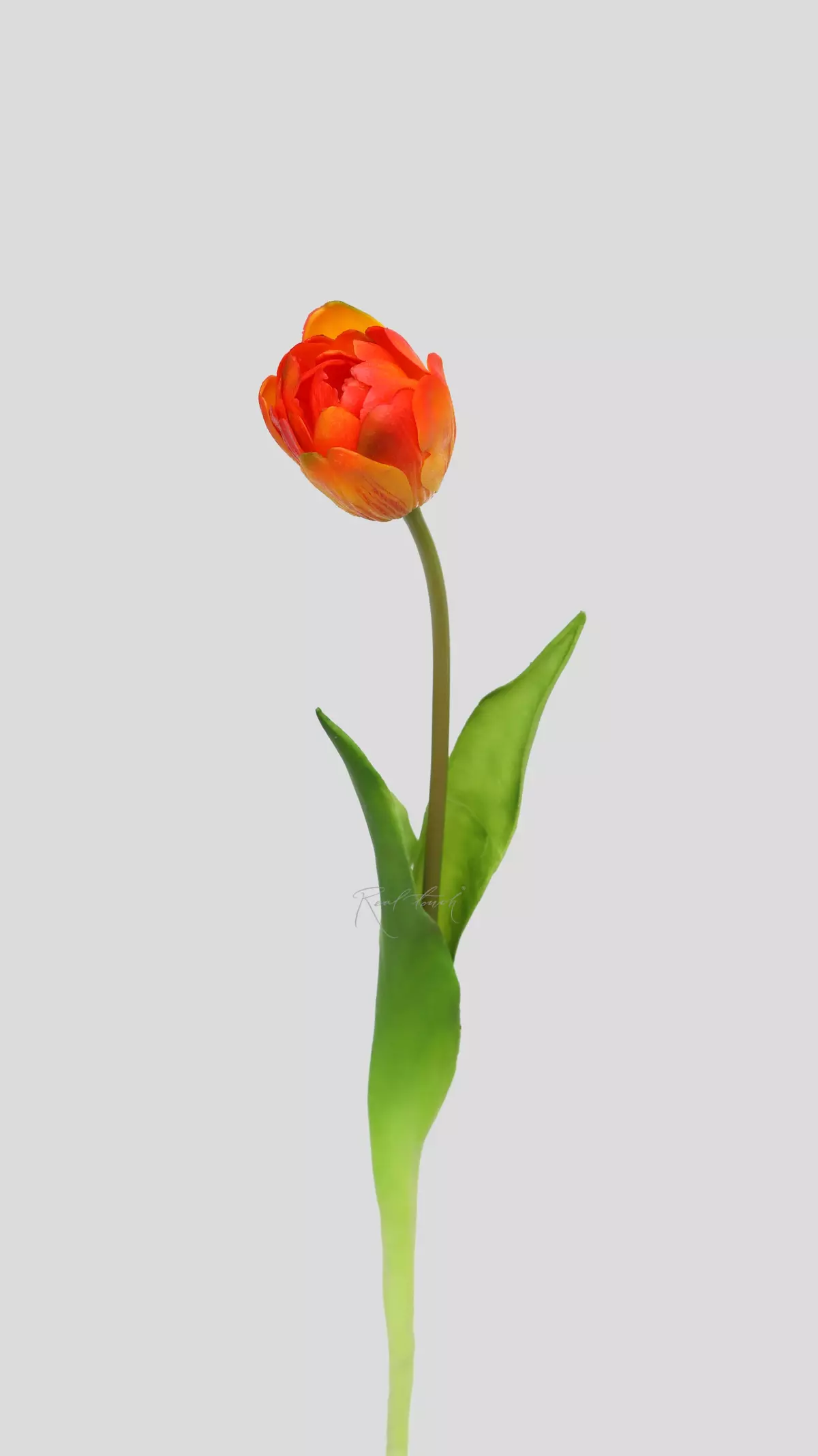 Real Touch Open Tulip - orange