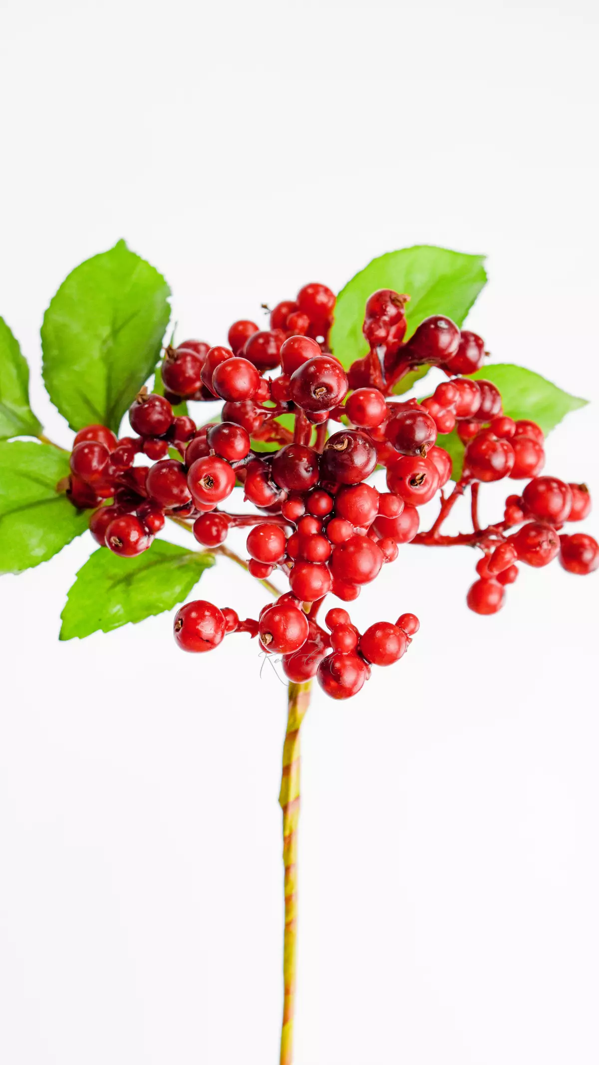 Real Touch Viburnum Berries - Viburnum