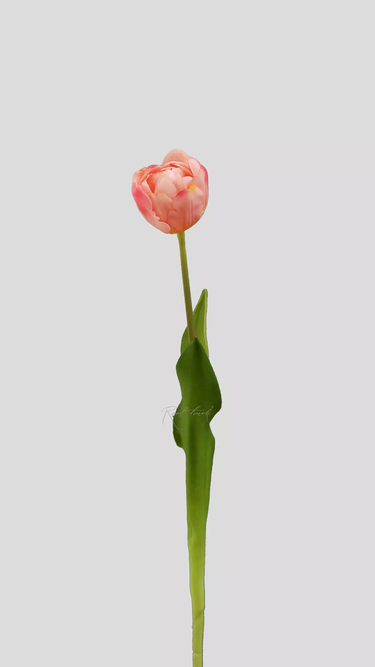 Real Touch Open Tulip - pink
