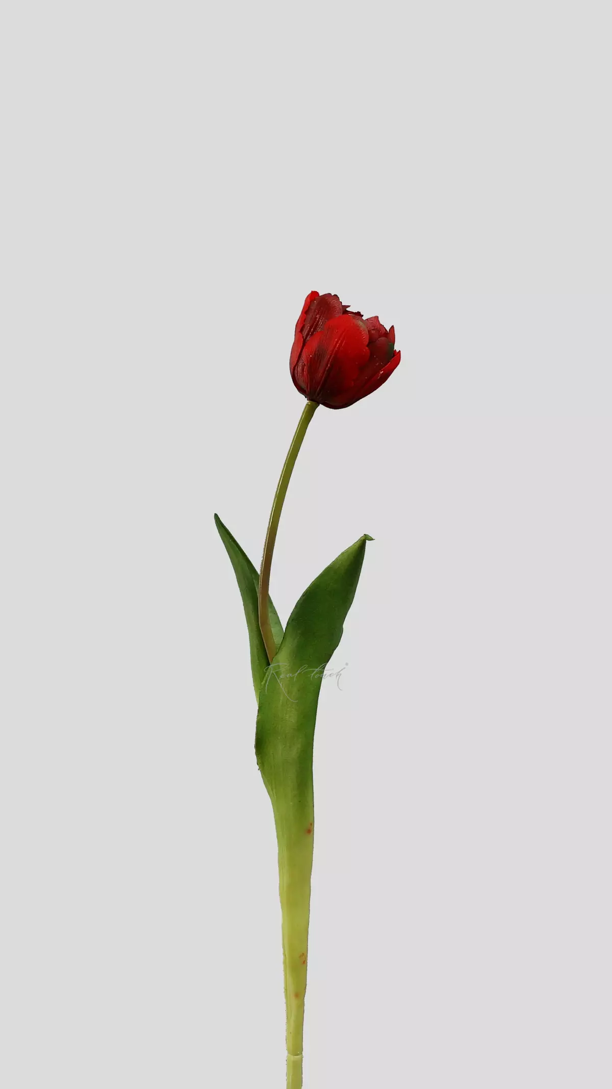 Real Touch Open Tulip - red
