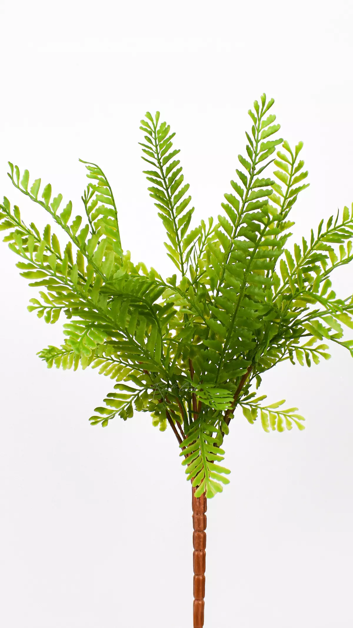 Real Touch greenery Adiantum pedatum  - green
