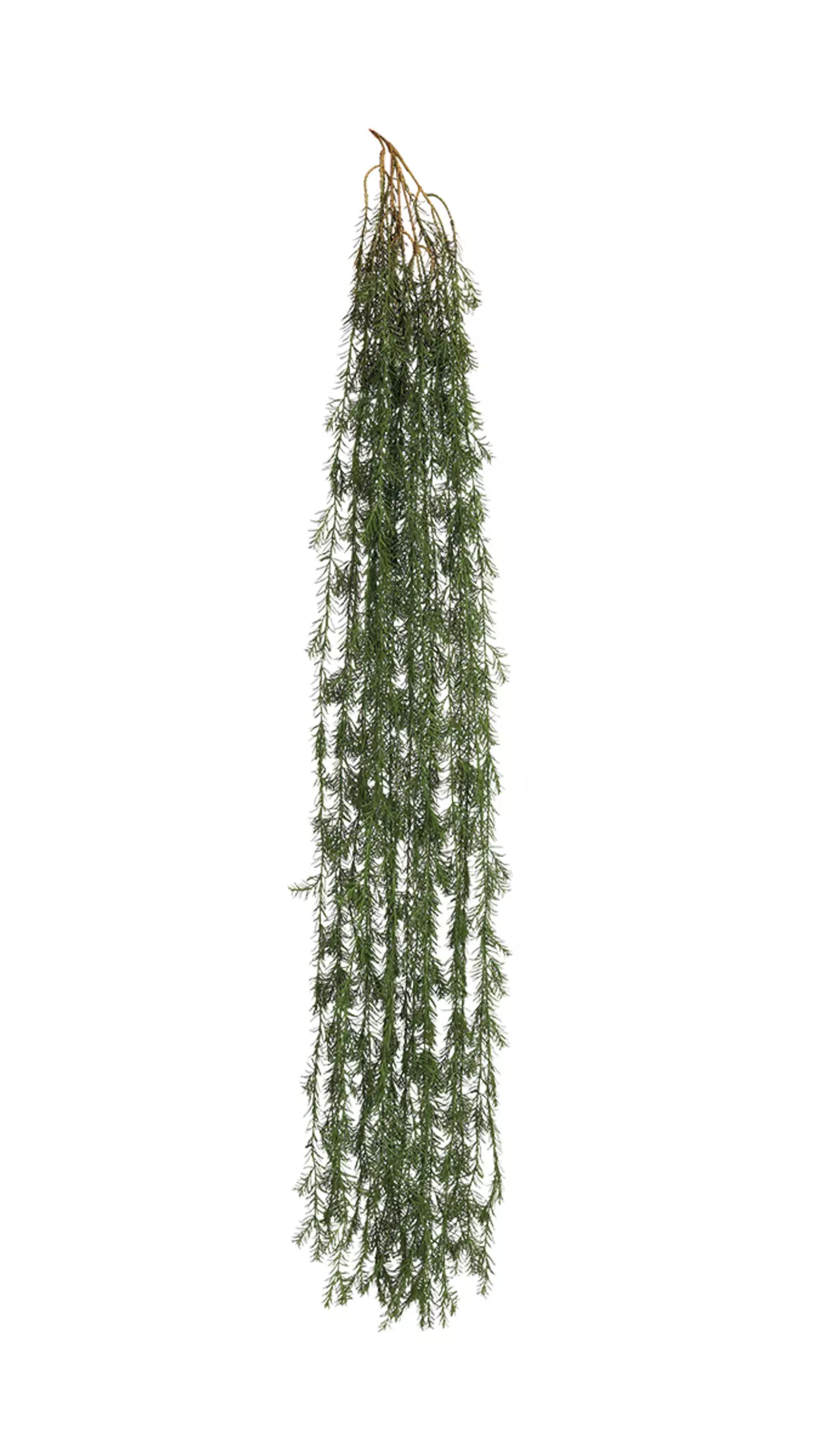 Real Touch Asparagus hanging plant 68.8 inches  - green
