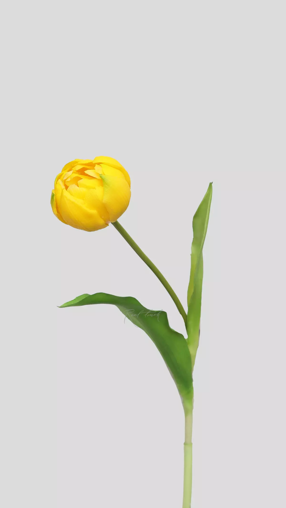 Real Touch Peony Tulip - yellow