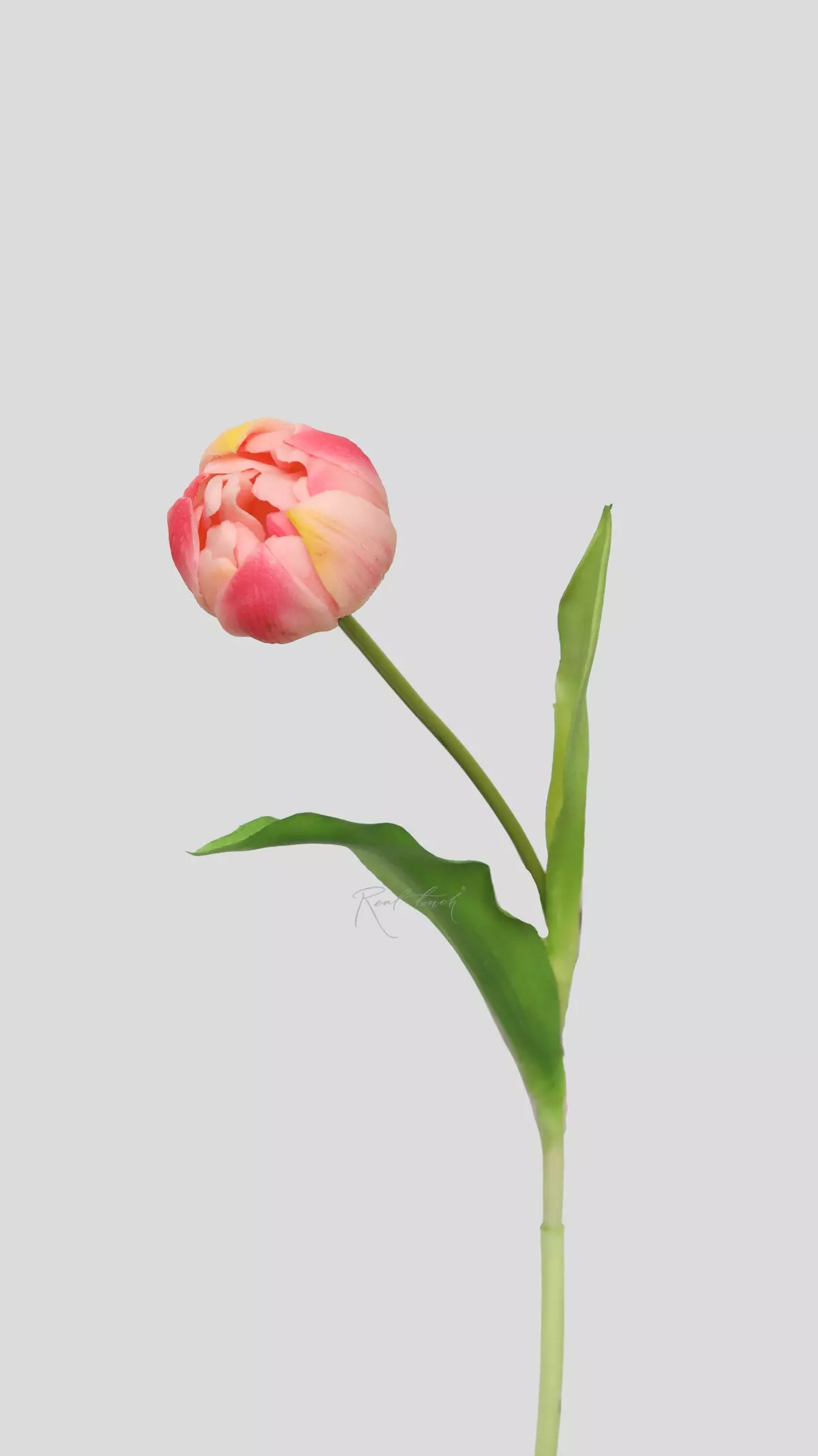 Real Touch Peony Tulip - light pink