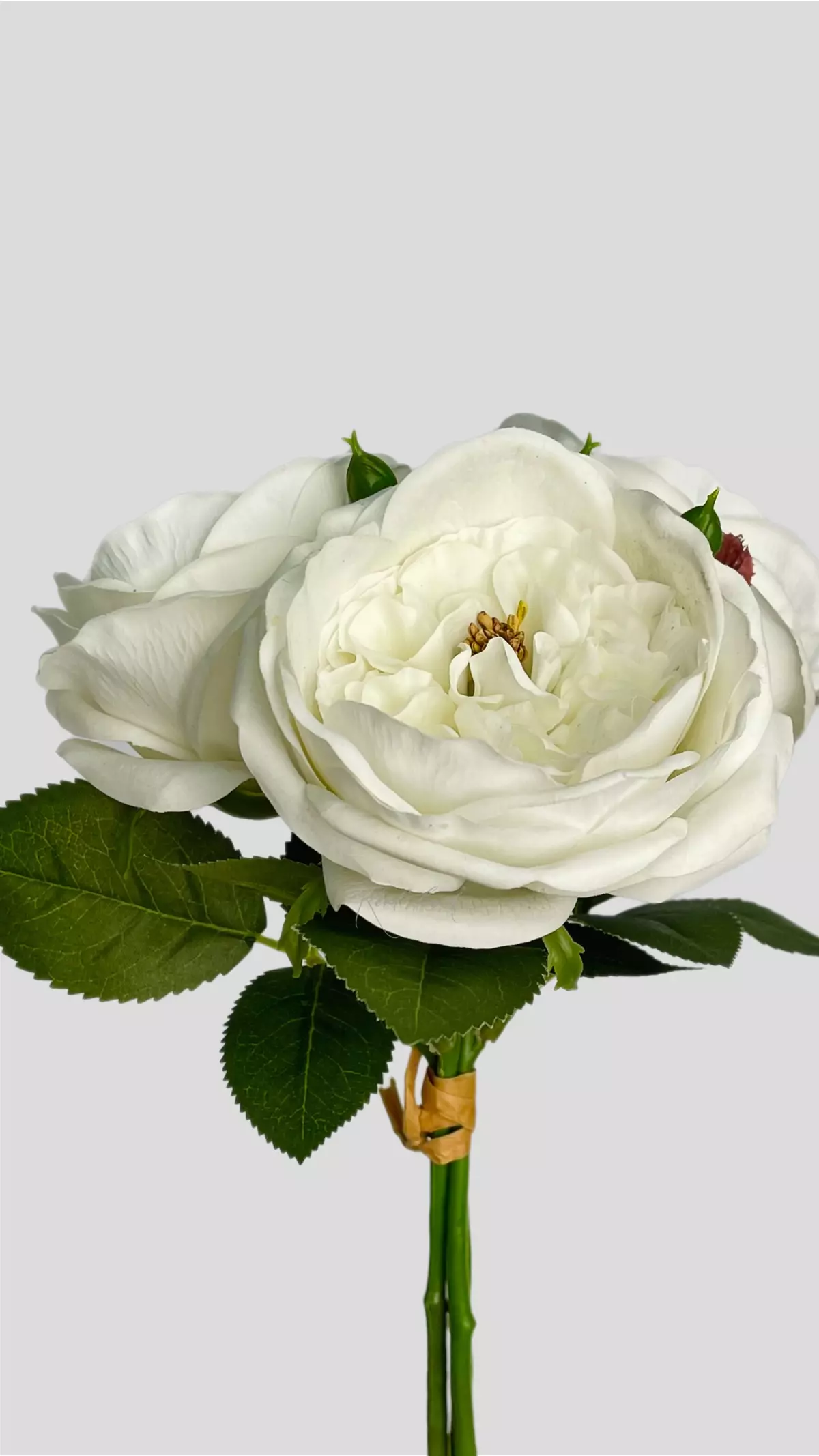 Real Touch David Austin Old Roses bouquet (3 flowers) - white