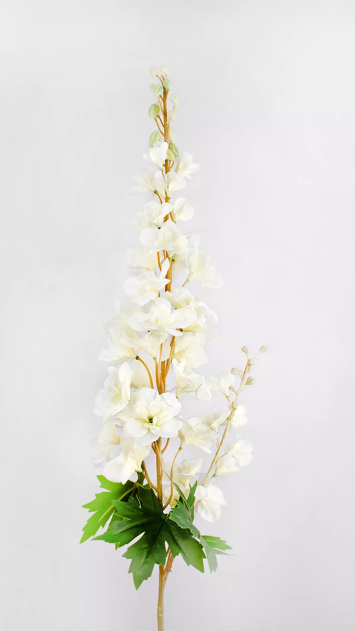 Delphinium with 2 Sprays - Сream