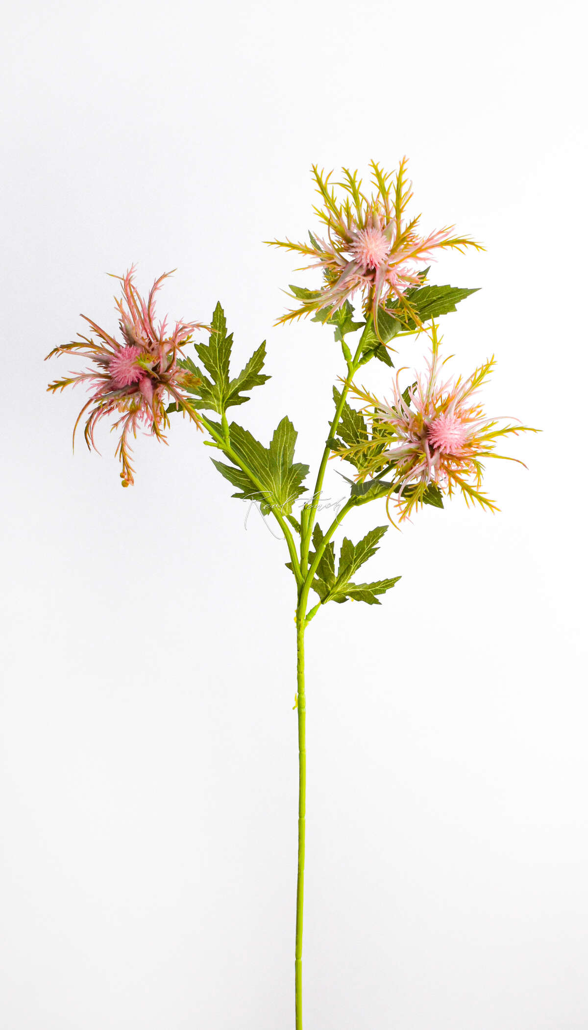 Real Touch Thistle pink