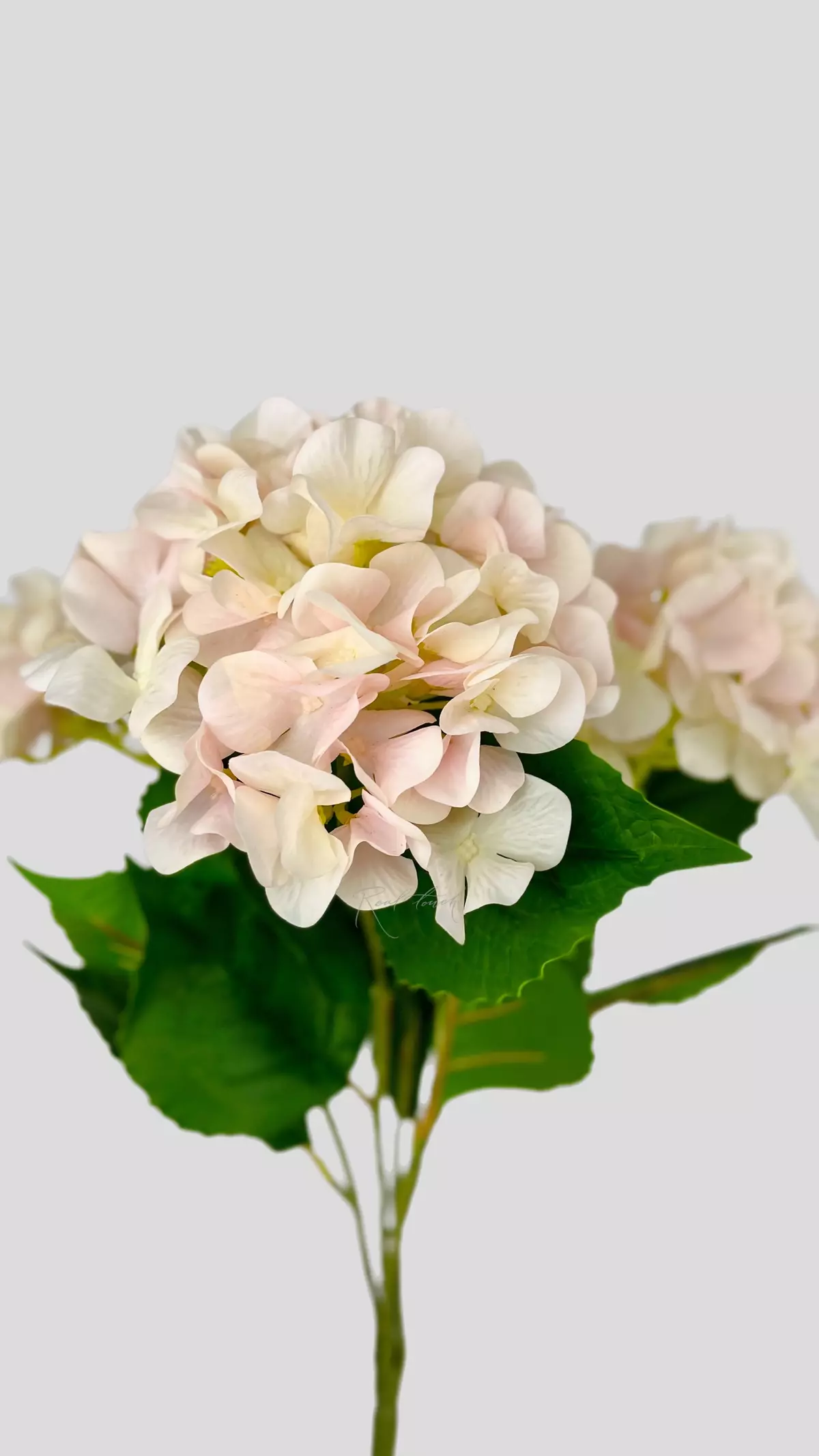 Real Touch hydrangea bush (5 blooms) - blush