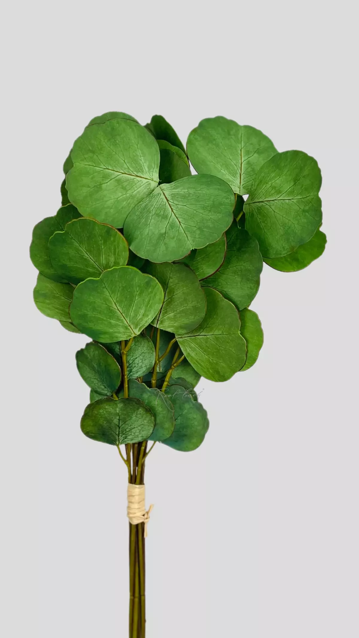 Real Touch Eucalyptus Silver Dollar (8 branches) - blue green