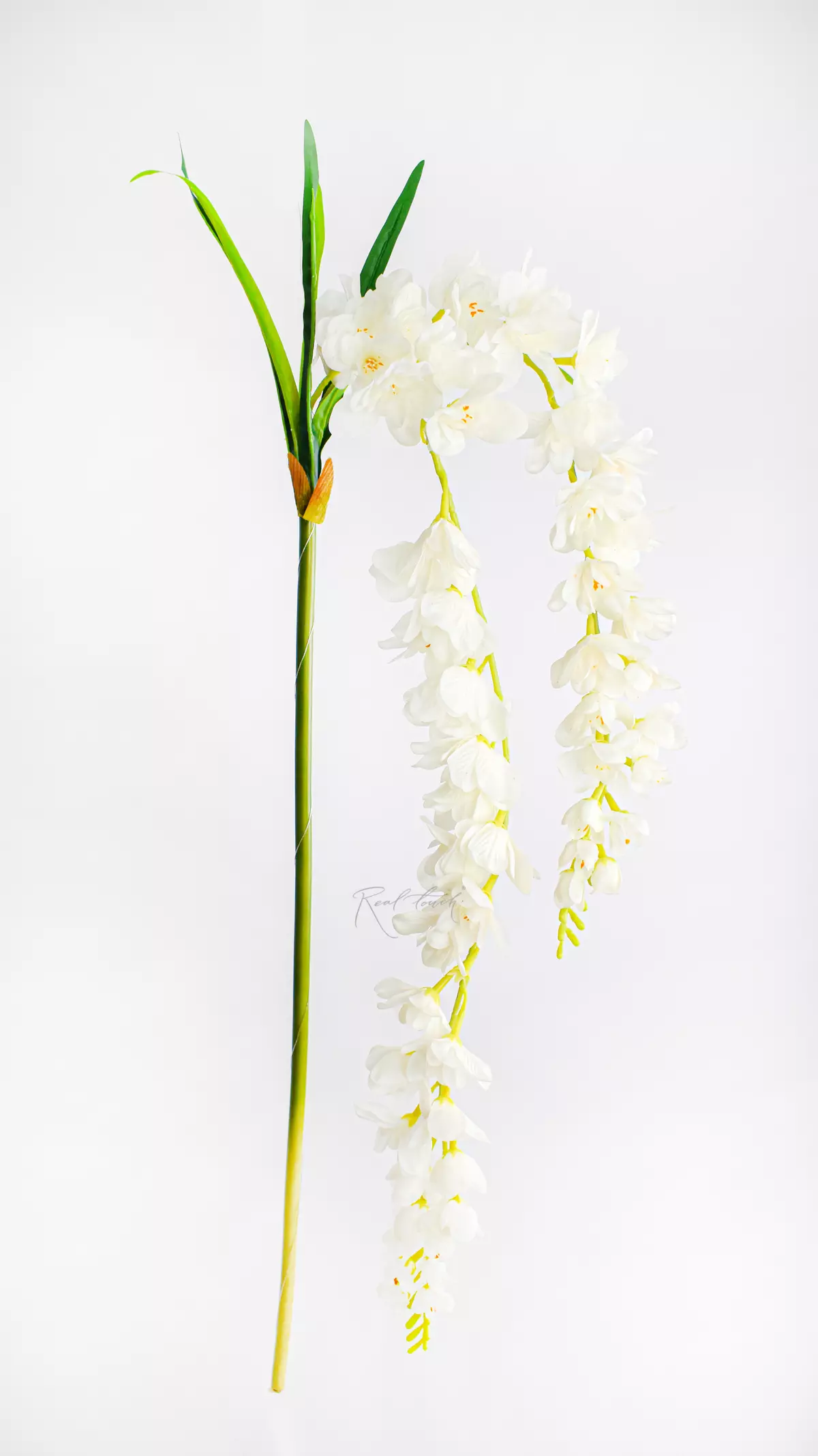 Real Touch Wisteria - white