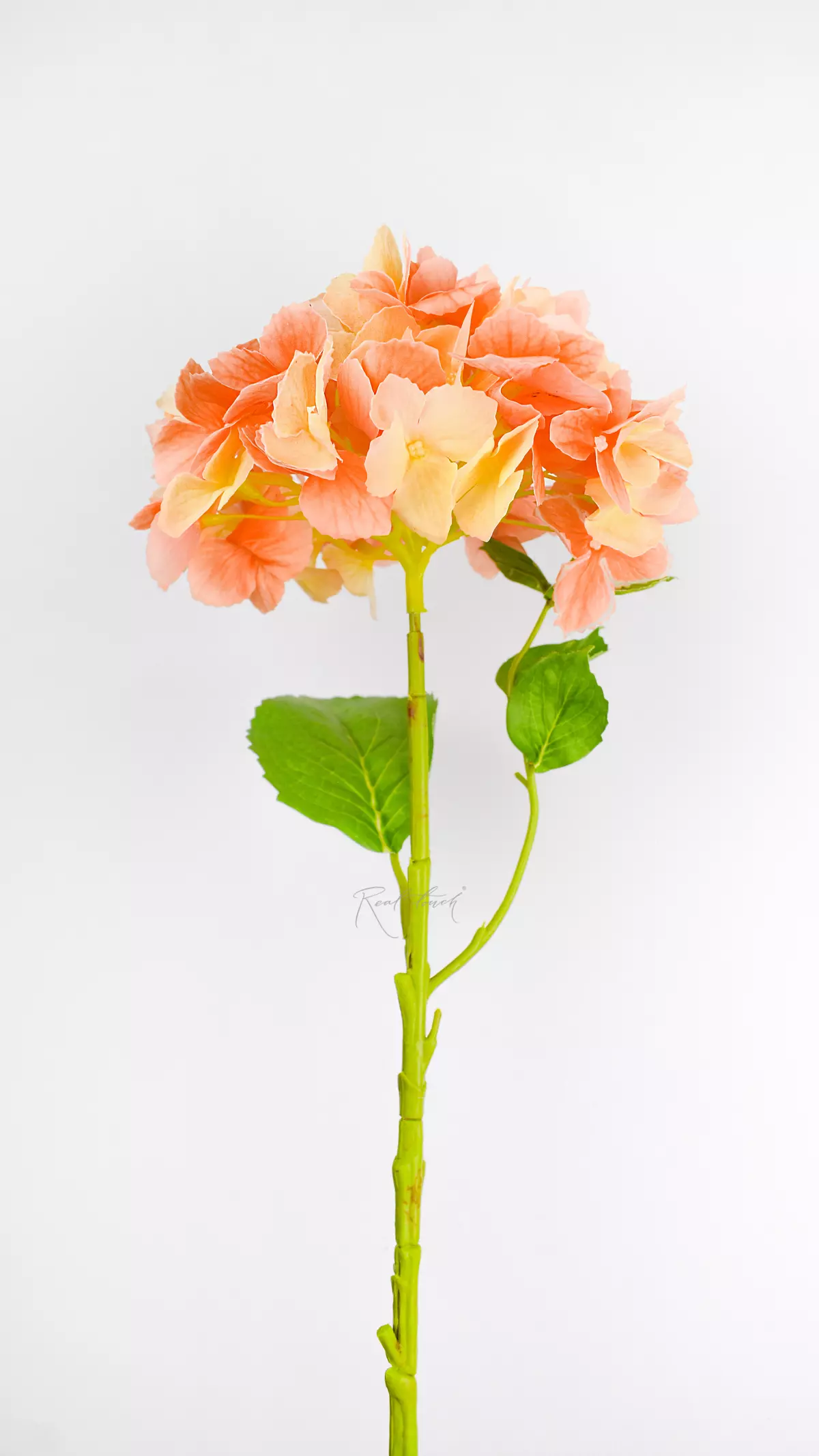Real Touch Serrated hydrangea (with stem) - peach