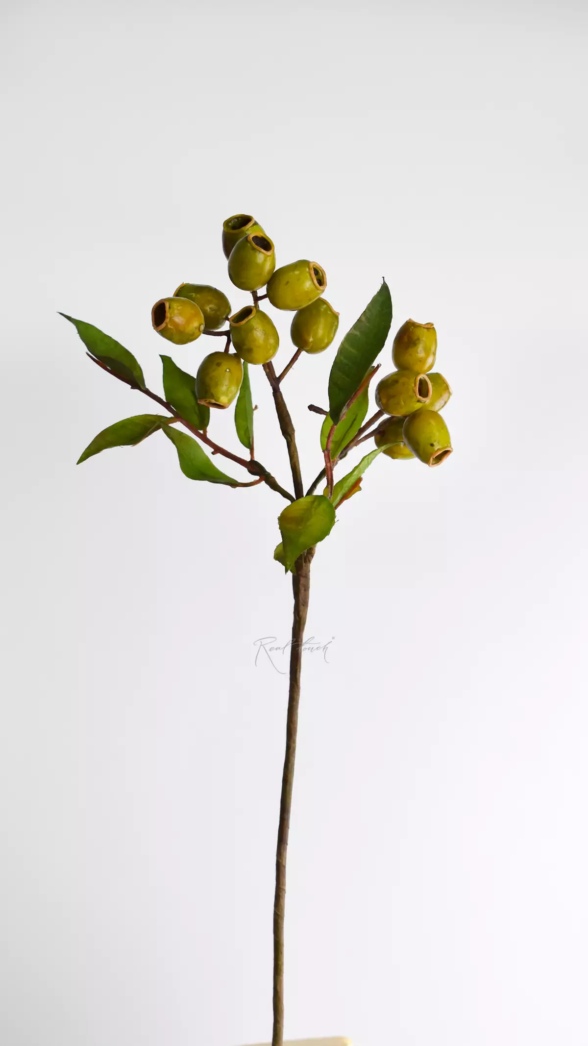 Artificial Eucalyptus branch with fruits  - green