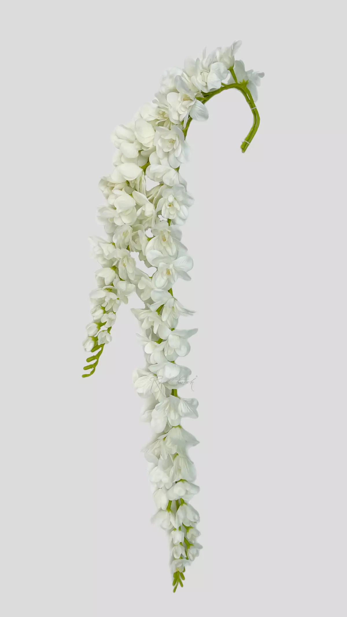 Real Touch Wisteria (without stem) - white