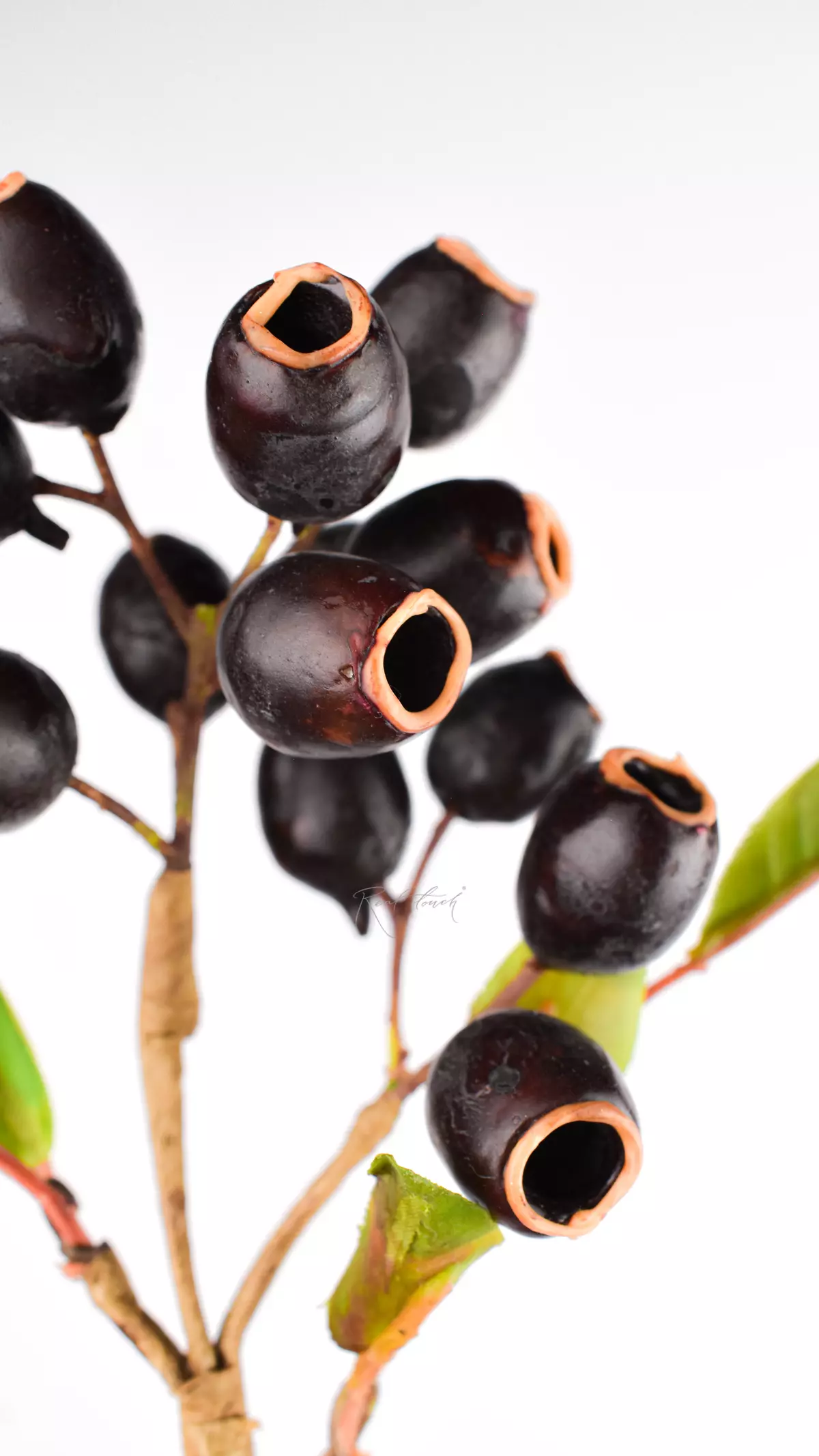 Artificial Eucalyptus branch with fruits  - Black