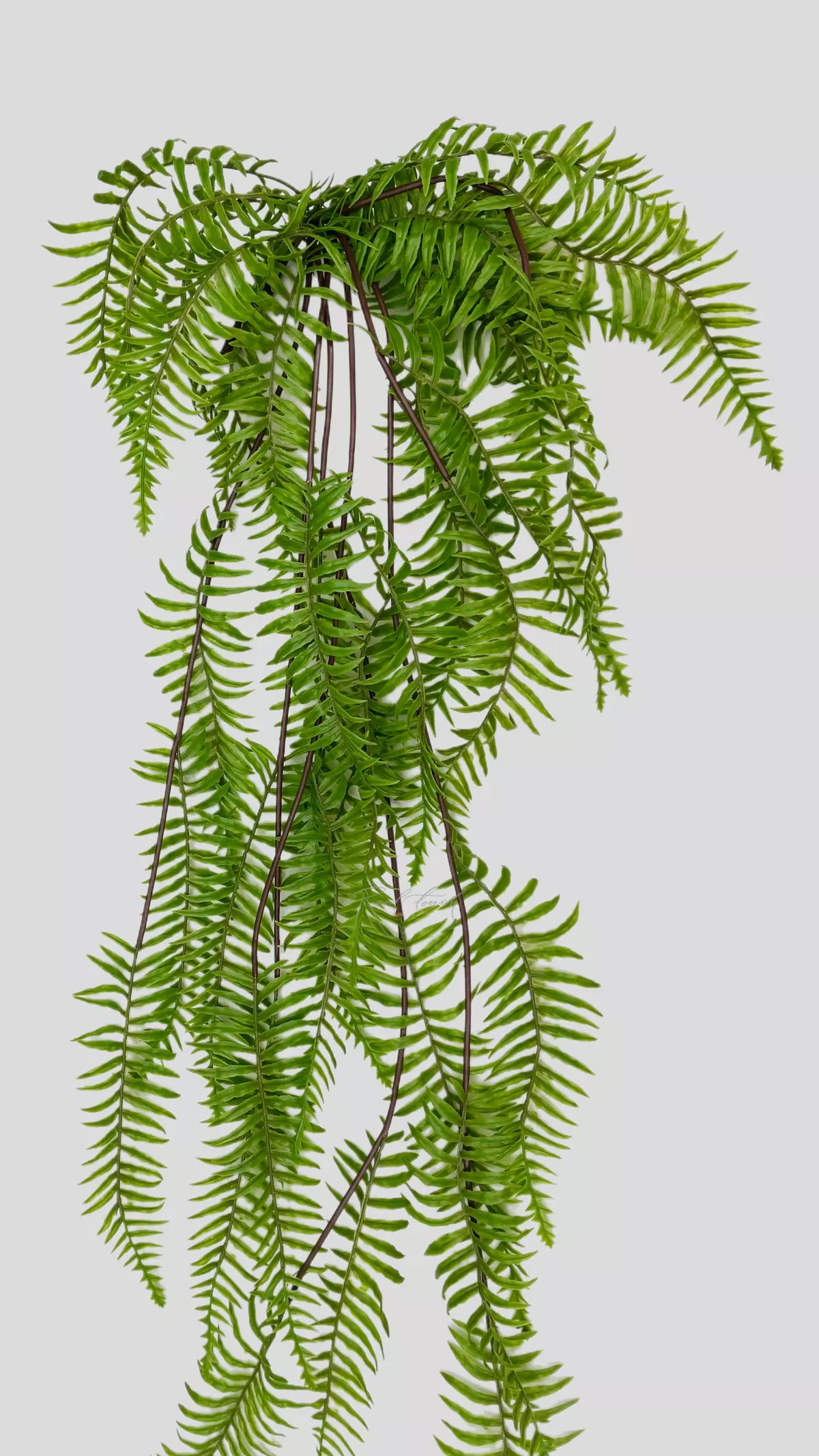 Artificial Boston Fern (45 inches) - green