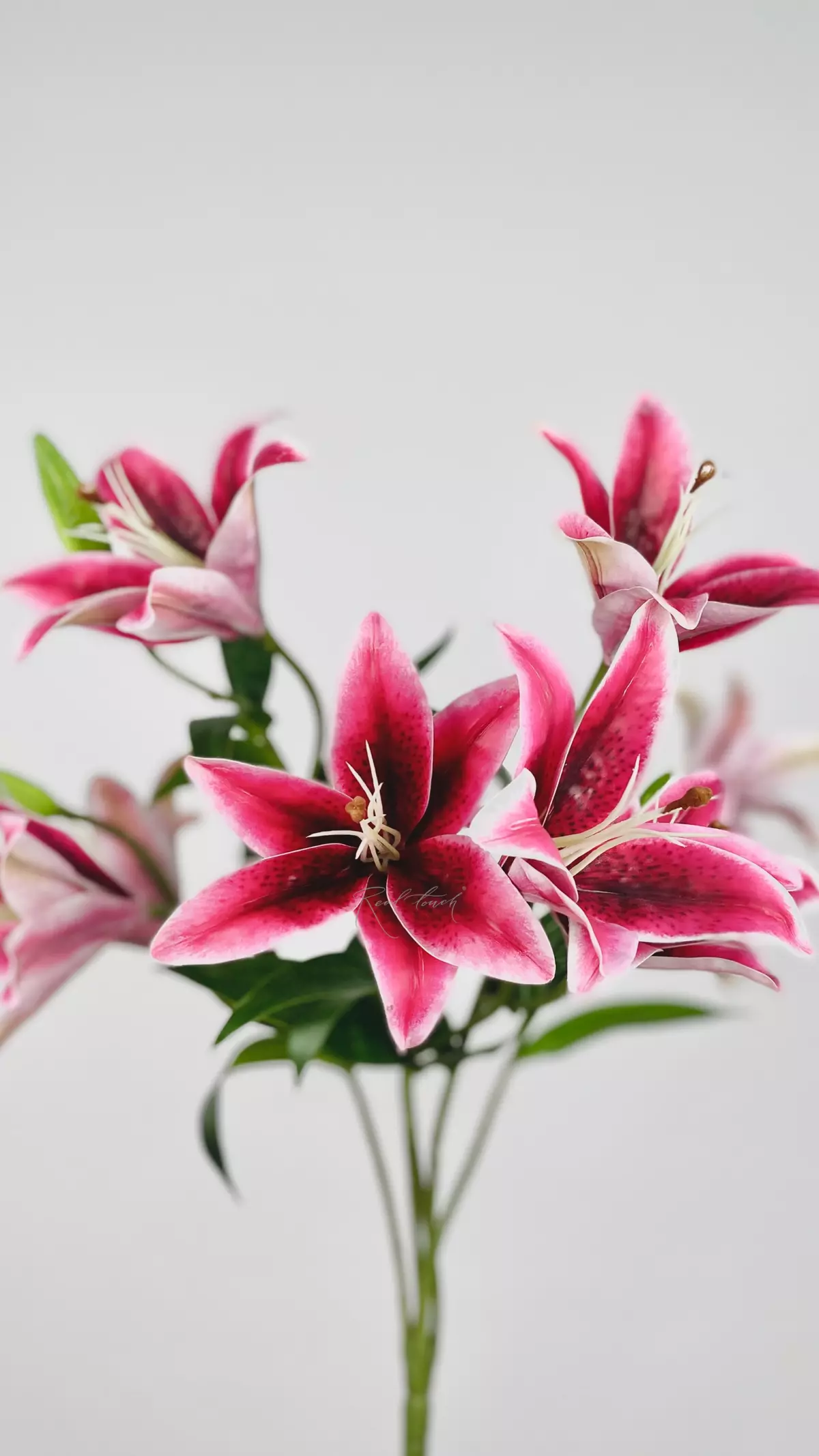 Real Touch Bush of Lilies (9 flowers) - Dark fuchsia