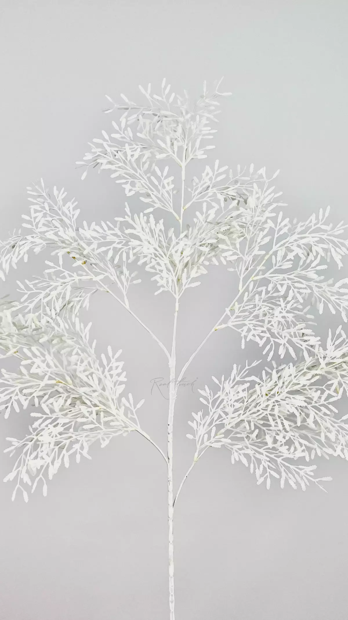 Artificial Asparagus branch - white