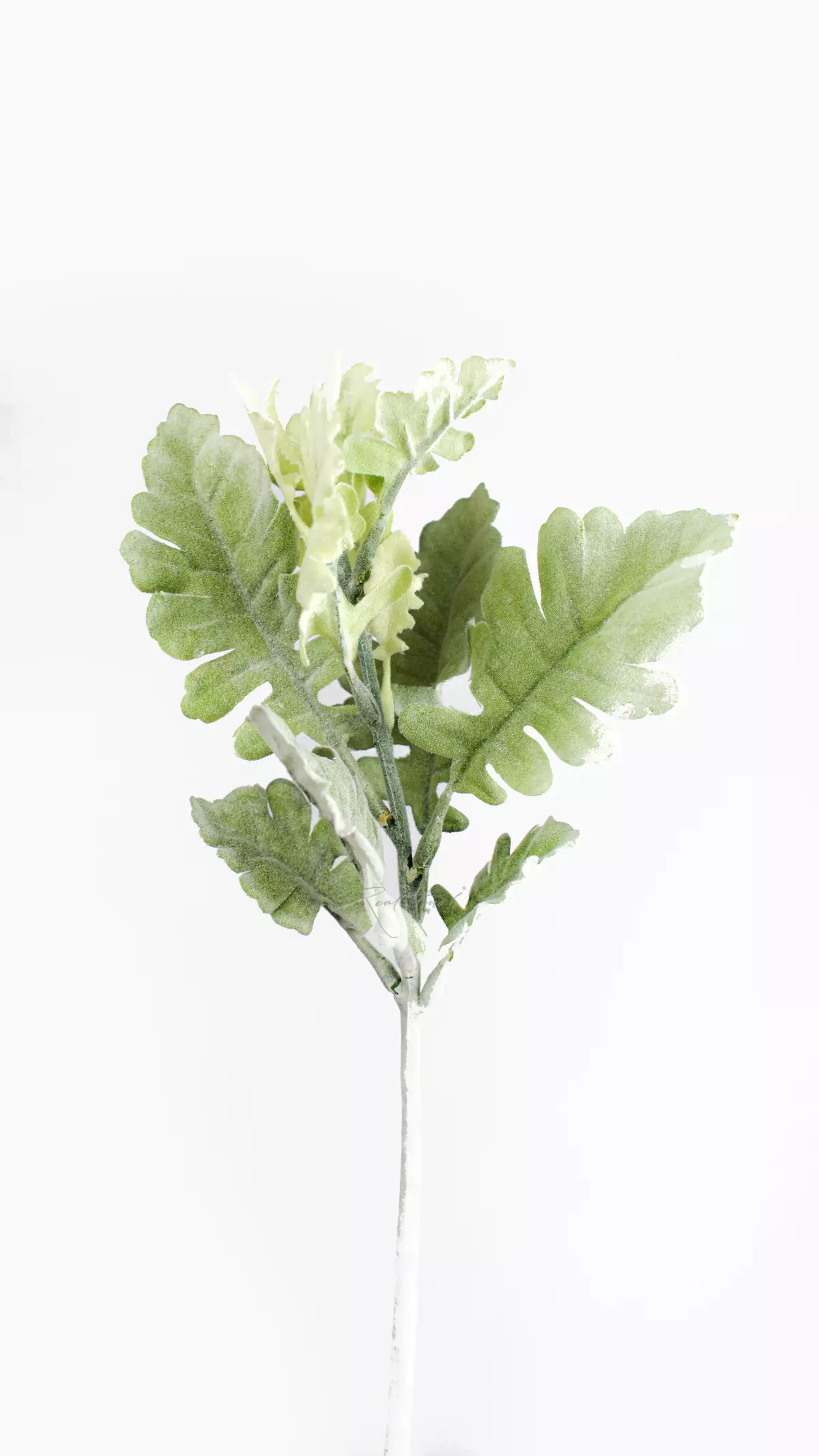 Artificial Cineraria Silver Dust Plant - dusty green